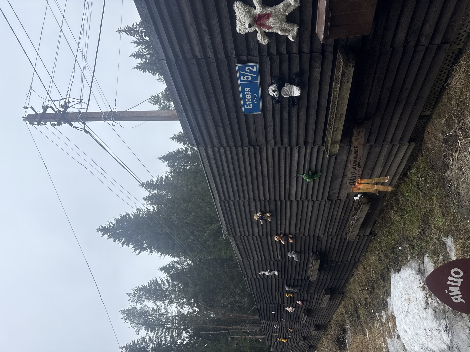 The image shows a building in Syar'gi, Russia. The structure has a facade covered with stuffed animals. A blue street sign reads "Еловая улица 5/2", which translates to "Yelovaya Street 5/2". An electrical pole with wires is present. The environment includes trees and some snow on the ground.