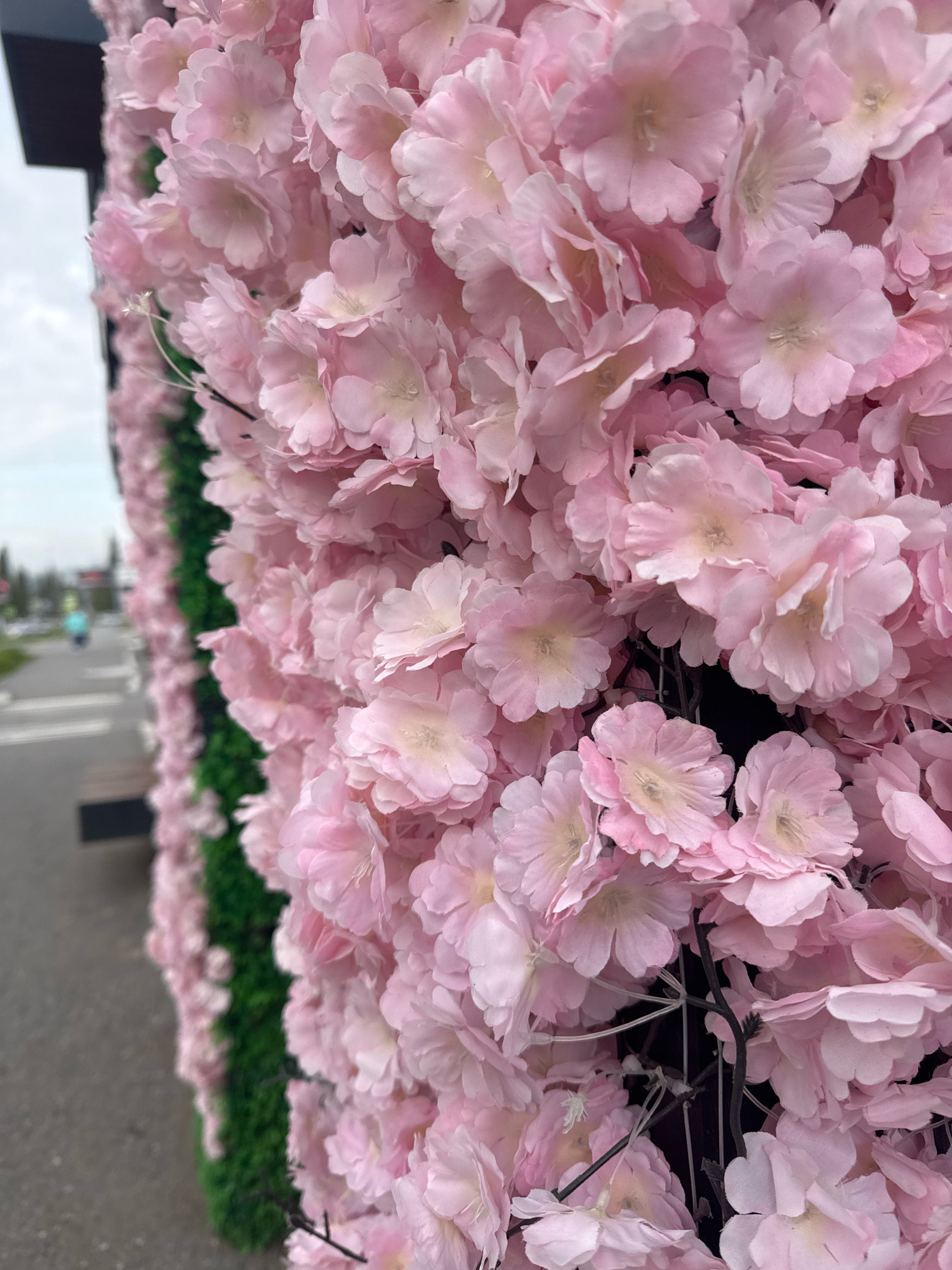 This is a close-up shot of a wall covered in artificial pink flowers. The flowers are densely packed and appear to be made of fabric, with delicate petals and light yellow centers. The wall of flowers is on the left side of the frame, with a blurred background that suggests an outdoor urban environment. In the background, a paved pathway or road is visible, with a few indistinct figures walking in the distance. There is also a hint of green foliage, likely artificial as well, bordering the flowers. The overall impression is of an decorative floral arrangement, possibly part of a building facade or an event setup, in Ufa, Russia.