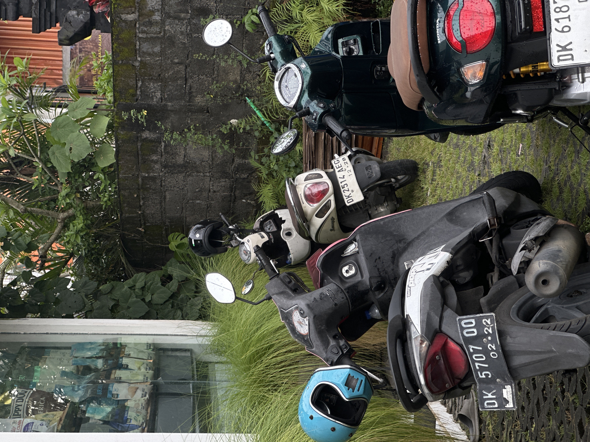 The image shows a row of parked motorbikes on a grassy area adjacent to a building. The motorcycles vary in style and color, including a dark green vintage-style scooter and a black and white modern scooter. Several helmets are resting on or near the bikes, including a blue one and others that are black and white. A license plate on one of the scooters reads "DK 5707 QQ 02-22." Another license plate reads "DK 2514 AEG 12-28". A third license plate reads "DK 6187". In the background is a brick wall with green plants growing on it. The building has a glass window with dog food bags inside. Based on the text identified via OCR, the dog food is from the "Happy Dog" brand. The photograph was taken in Munggu, Indonesia.