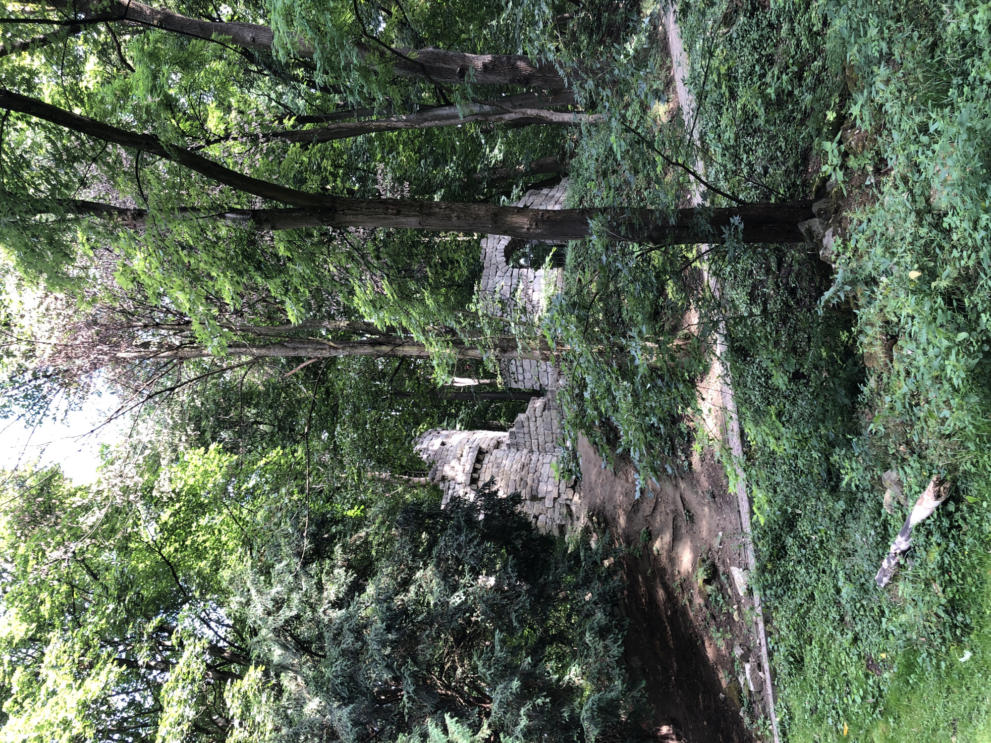 The image shows the ruins of a stone structure, possibly a tower or part of a castle, situated within a dense forest. The ruins are made of rough-hewn stone blocks and are partially overgrown with vegetation. A path winds through the trees, leading towards the ruins. The surrounding environment is lush and green, with a variety of trees and undergrowth, suggesting a natural or park-like setting. The scene is lit by dappled sunlight filtering through the canopy. This is a photograph of the ruins of the High Castle in Lviv, Ukraine.