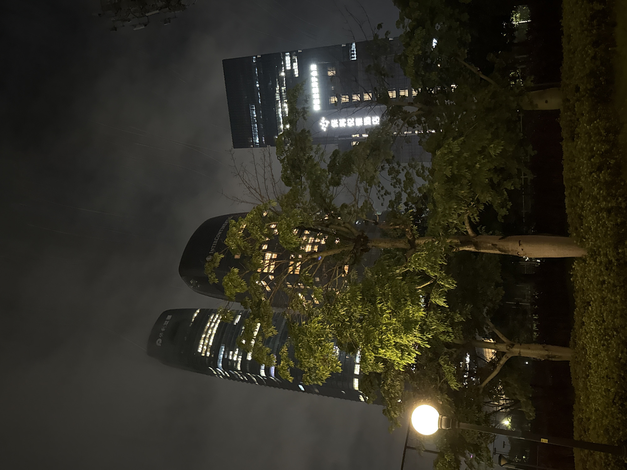 This image captures a nighttime scene in Haizhu District, China, featuring two modern skyscrapers illuminated by the lights from their windows. The buildings are dark, cylindrical structures with a sleek, reflective facade. One building has a large logo with Chinese characters and a stylized lotus flower. The other building displays the text "INTERCONTINENTAL".
Trees with vibrant green foliage partially obscure the view of the skyscrapers, suggesting they are located in a park or landscaped area. The leaves of the trees are illuminated from behind, creating a dramatic effect against the dark sky. A streetlamp with a glowing spherical light fixture is visible in the foreground, casting a warm light on the surrounding greenery and path.
The sky is dark and appears somewhat hazy, hinting at nighttime or possibly foggy conditions. The overall mood is urban and contemporary, with a touch of natural beauty provided by the trees. The scene appears tranquil, with no visible people, and the focus is on the architecture and the interplay of light and shadow. The presence of prominent buildings and streetlights indicates an urban setting, likely a business or commercial district.