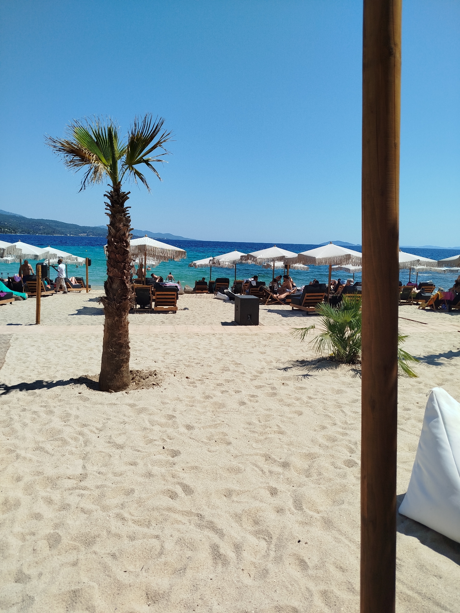 A sunny beach scene in Sithonia Municipal Unit, Greece, shows a sandy shore with rows of lounge chairs and umbrellas. A palm tree stands prominently in the foreground. In the background, the turquoise waters of the Aegean Sea meet a hazy coastline of hills and mountains. Several people are scattered across the beach, relaxing on loungers or near the water. A wooden pillar, part of a structure, is visible on the right side of the frame. The sky is clear and bright blue.