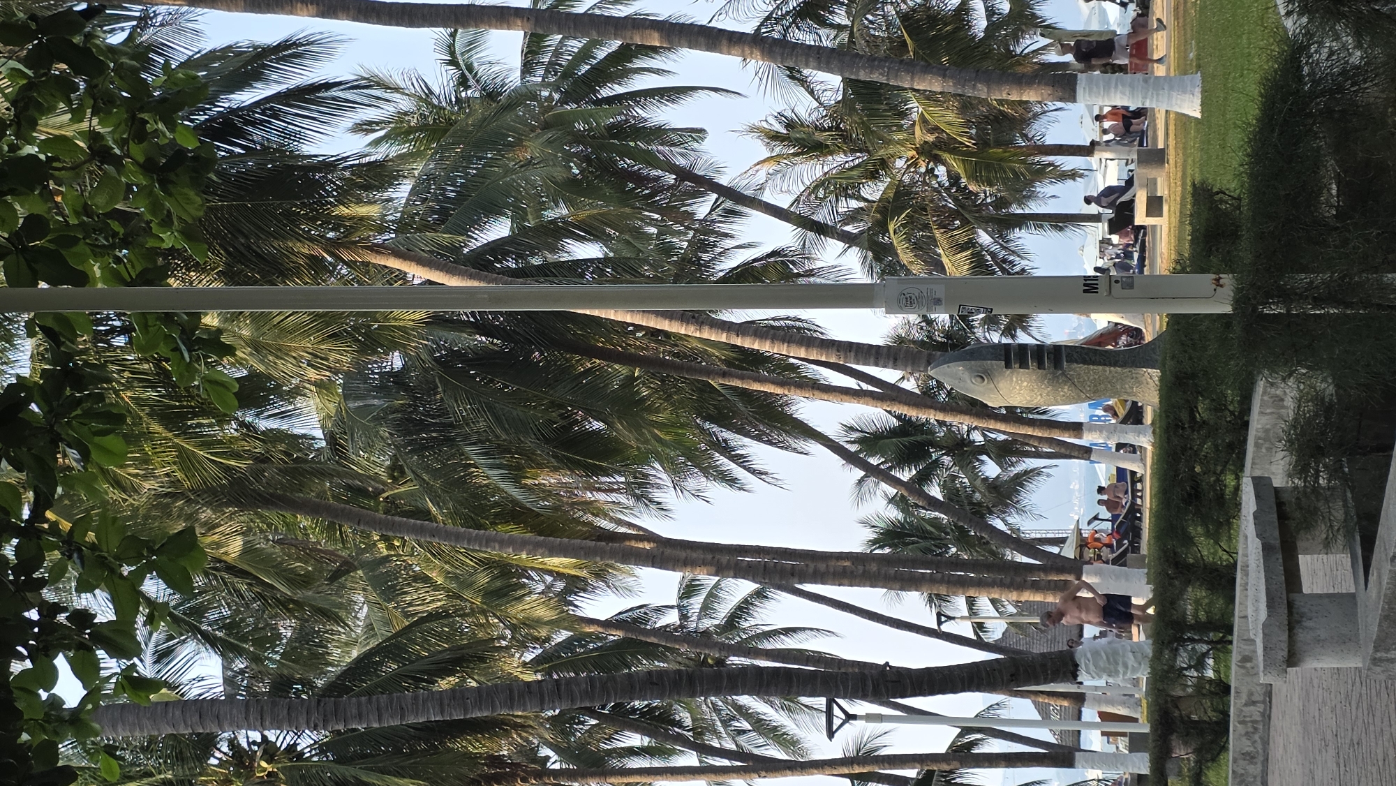 The image captures a vibrant, sunny outdoor scene along a tropical promenade or beachfront, likely in Nha Trang, Vietnam. The setting is dominated by numerous tall palm trees with slender trunks and lush green fronds, forming a natural canopy. Their trunks are varied, some featuring white bands painted near their bases.
In the foreground and mid-ground, a paved promenade or pathway is visible, lined with green shrubbery, bushes, and concrete benches or planters. Several people are present, indicating a leisurely atmosphere. Some individuals are seated at tables or on benches, while others are seen walking. One man, shirtless and wearing shorts, is walking towards the left side of the frame. In the background, a bright blue sky meets a hazy horizon, suggesting a large body of water, possibly the sea or ocean, with distant land or mountains.
Prominently featured in the mid-ground is a tall, white rectangular pole or structure. Adjacent to this pole stands a large, stylized sculpture of a grey fish, possibly a shark or marlin, facing right. The general activity appears to be people enjoying a casual day out, strolling, or relaxing by the coast.
It is clearly daytime with bright sunlight, indicating clear weather. The combination of palm trees, beach-like setting, and the relaxed mood strongly suggests a resort or coastal town environment. On the white pole, the letters "M1" are clearly visible in black, along with smaller, less discernible text or logos. The overall scene evokes feelings of vacation and tropical relaxation.