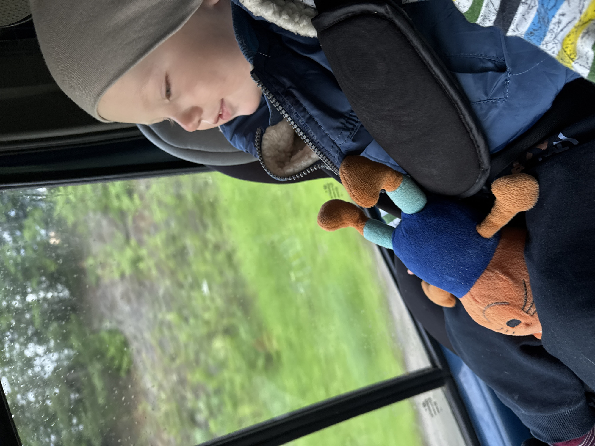 A young child, wearing a gray beanie and a navy blue jacket, sits in a car seat, looking out the window. The child holds a plush toy with orange and blue accents. The car window shows a blurred background of greenery and trees, suggesting a rural or natural setting. The image is taken from inside the vehicle, with the focus on the child and the toy. The scene is likely in Pesterevo, Russia, given the provided context.