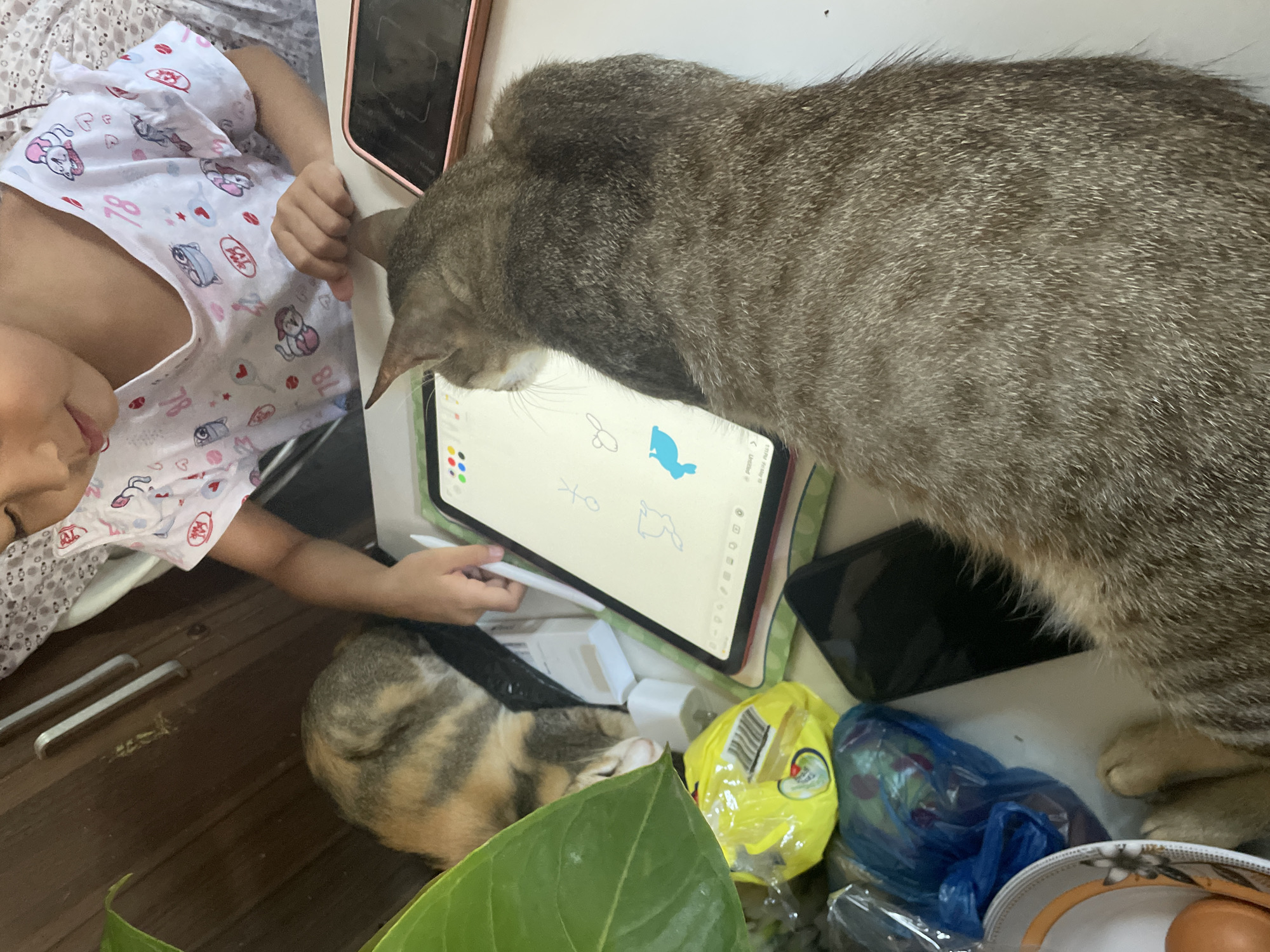 A child is drawing on a tablet with a stylus. A tabby cat is looking at the tablet. A second, calico cat is sleeping near the tablet. The scene appears to be inside a home. The location is Davao City, Philippines. Other objects in the scene include a cell phone, charging cords, food packaging, plates, and a green plant.