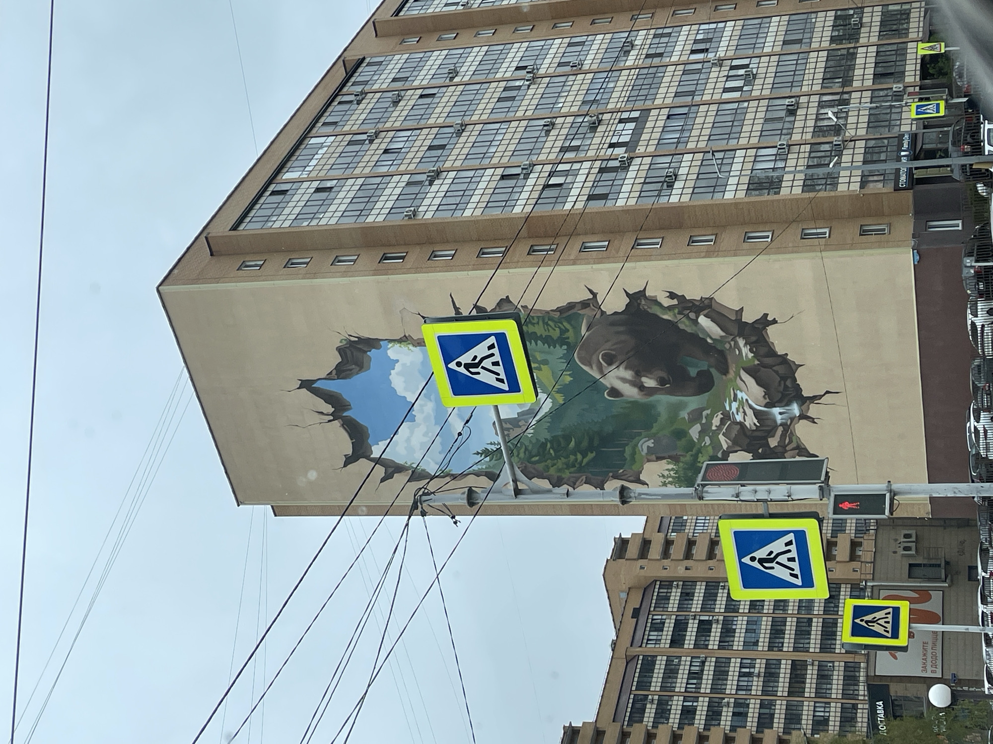 The image shows a tall, multi-story building in Krasnoyarsk, Russia, adorned with a large mural depicting a bear peering through a simulated hole in the wall. The mural fills a significant portion of the building's facade. Pedestrian crossing signs are prominently positioned in the foreground, mounted on poles, along with traffic lights showing a red light. Other buildings, cars, and power lines are also present, suggesting an urban environment. The sky appears overcast.