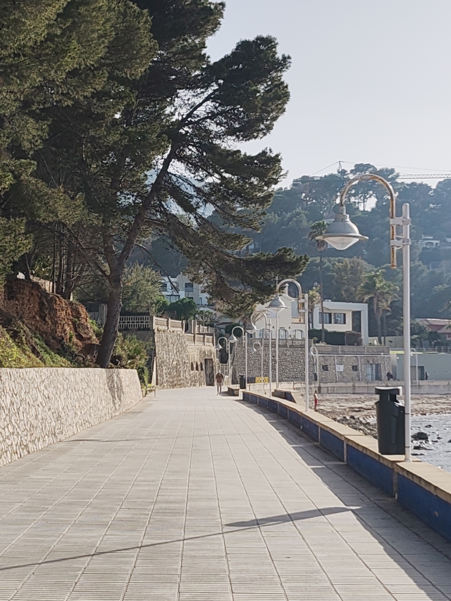 The image depicts a seaside promenade in Dénia, Spain. The foreground features a wide, tiled walkway running along the coastline. To the left, a stone wall runs parallel to the path, with a steep, wooded slope rising behind it. A large pine tree dominates the left side of the frame, its branches arching over the walkway.
On the right, the promenade is bordered by a low wall painted blue, separating it from the rocky beach and the sea. A series of decorative lampposts line the edge of the walkway, casting shadows on the tiled surface. A green trash bin is also visible.
In the background, there are buildings and houses nestled on the hillside. A construction crane is visible in the distance, indicating ongoing development in the area. A solitary figure is seen walking along the promenade in the distance. The overall impression is a calm and sunny coastal scene.