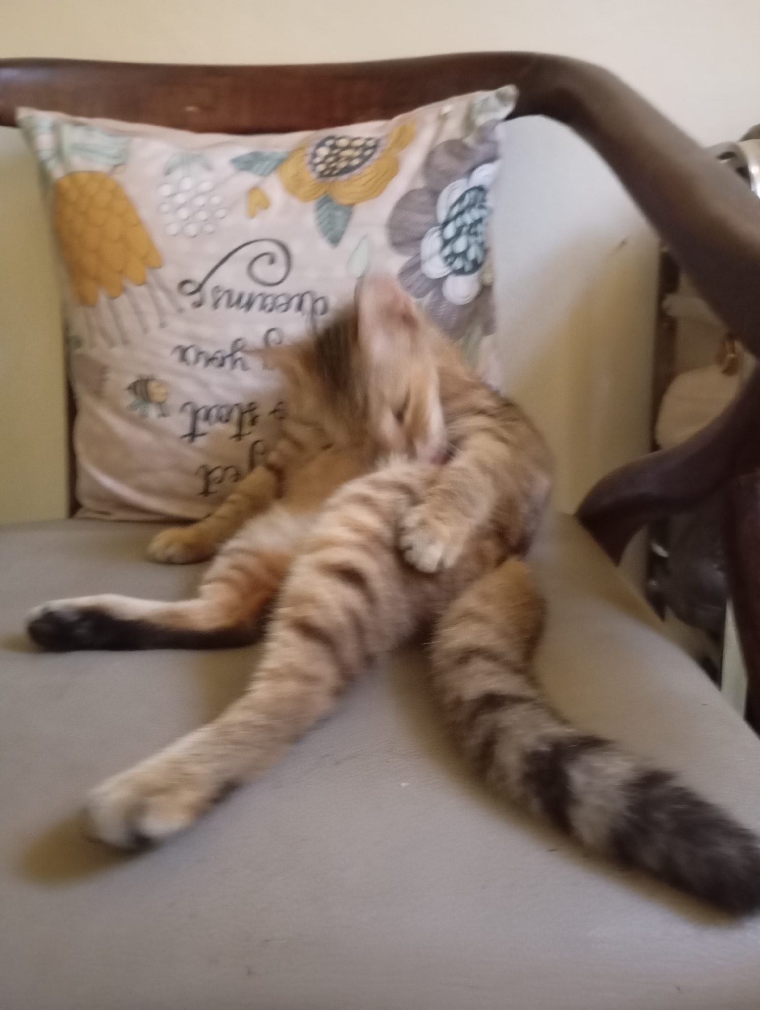 A ginger tabby cat is grooming itself on a grey chair in what appears to be a home environment. The cat is positioned in the center of the frame, with its hind legs extended and its head tucked down as it licks its paw. Behind the cat is a light-colored pillow with a yellow pineapple and floral design. The chair is made of wood and appears to be part of a set. The lighting suggests an indoor setting, possibly in a living room or bedroom. There is no discernible indication of the location being Balikpapan, Indonesia, or any other specific city.