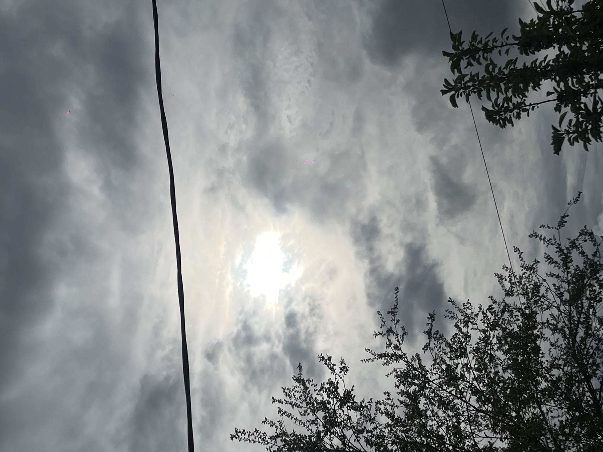 The image shows a cloudy sky with the sun partially obscured by the clouds. Tree branches are visible in the foreground, silhouetted against the bright sky. A black power line runs diagonally across the left side of the frame. The location is Novopokrovskaya, Russia.