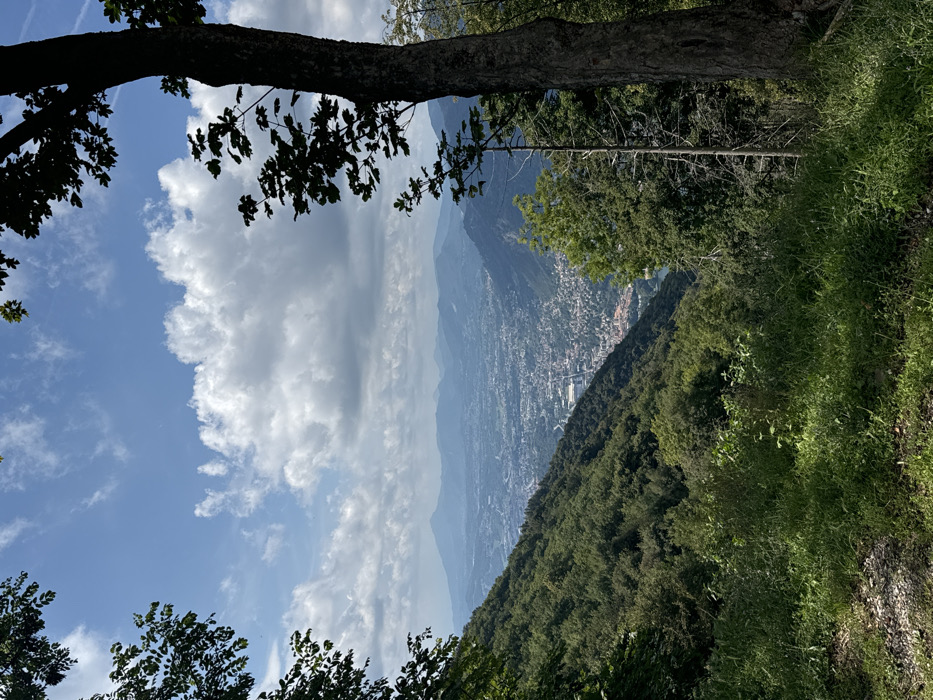 This image captures a high-angle panoramic view of the city of Como, Italy, situated in a valley, as observed from the elevated vantage point of Brunate, Italy. The upper portion of the frame features a bright blue sky partially obscured by a scattering of white cumulus clouds. The foreground consists of a sloped area covered in green grass and some exposed earth or gravel.
To the left, a steep, heavily wooded hillside densely covered with dark green deciduous trees slopes downwards into the valley. On the right, a prominent, dark tree trunk with visible branches and foliage stands in profile, partially silhouetted against the background. A slender, lighter-colored tree trunk is discernible behind it.
The mid-distance reveals a sprawling cityscape, with numerous buildings and urban structures filling the valley floor. A section of dark blue water, consistent with a lake, is visible at the lower right edge of the urban area. In the far background, successive layers of mountains and hills recede into a hazy, lighter blue. No people, animals, or explicit actions are depicted. The scene is illuminated by natural daylight, creating some shadowed areas from the foreground trees.