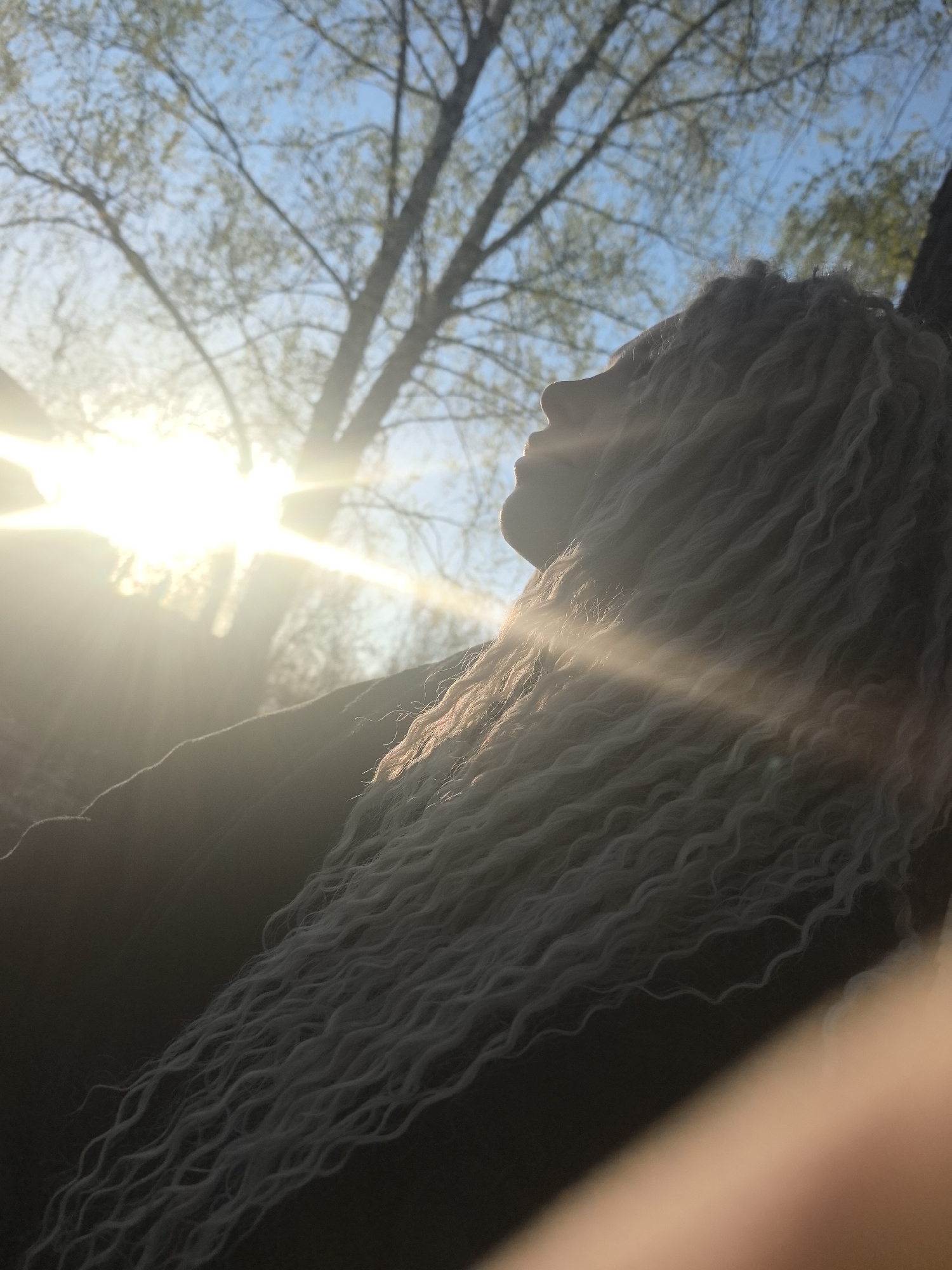 A medium shot captures a person with fair, wavy hair, facing right with their face in profile against a backdrop of a bright sky and trees. The sun shines intensely from the left side of the frame, with its rays extending across the scene. The background features a partly cloudy blue sky, interspersed with bare tree branches and emerging green leaves. The lighting casts a strong silhouette on the person's facial features, and the overall composition is upward-angled, suggesting the photo was taken from a low vantage point. The location and the city cannot be determined with the available information.