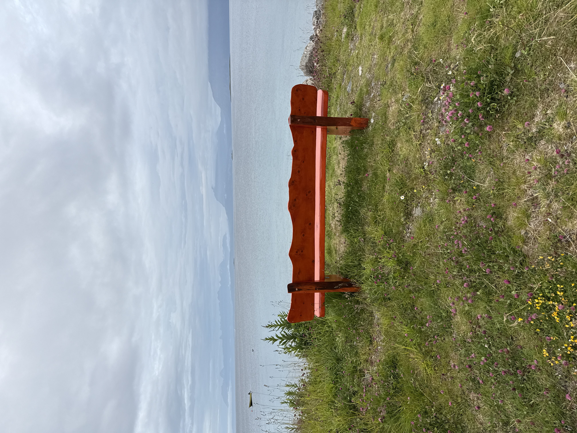 A red wooden bench faces a calm, light blue body of water under a cloudy, overcast sky. The bench is positioned on a grassy knoll dotted with small purple clover flowers and some yellow wildflowers. In the background, distant mountains are visible through a light mist or haze. A small yellow boat is anchored on the left side of the water. The foreground is lush green grass with wildflowers. The scene depicts a peaceful outdoor setting. This scene is located in Harstad, Norway.