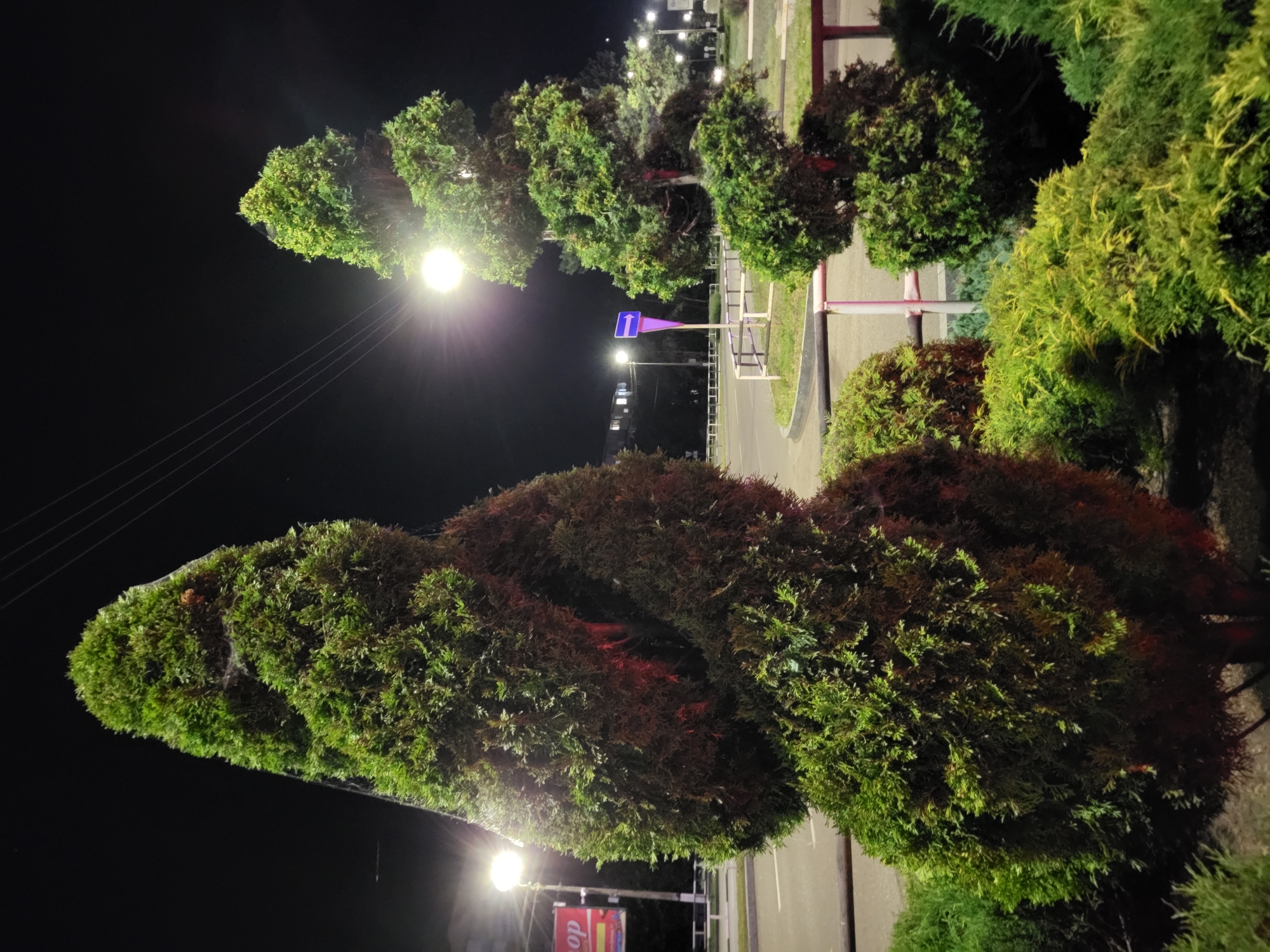 At night in Horishni Plavni, Ukraine, a street scene is depicted. In the foreground, a pair of sculpted evergreen trees stand prominently. The larger tree on the left is shaped in a tall, rounded conical form with a distinct twist, appearing dark red-brown in the shadowed areas and bright green where illuminated by artificial light. To its right, a smaller, similarly sculpted evergreen tree exhibits a spiral shape.
Behind the trees, a paved road curves to the left. Streetlights cast pools of white light onto the road and surrounding area. A white metal railing with pink accents separates the roadside landscaping from the road. In the background, a blue directional sign with a white arrow points to the left. Further in the distance, buildings with illuminated windows are visible, as are more streetlights and power lines stretching across the dark sky. The overall atmosphere is one of an urban, nighttime environment.