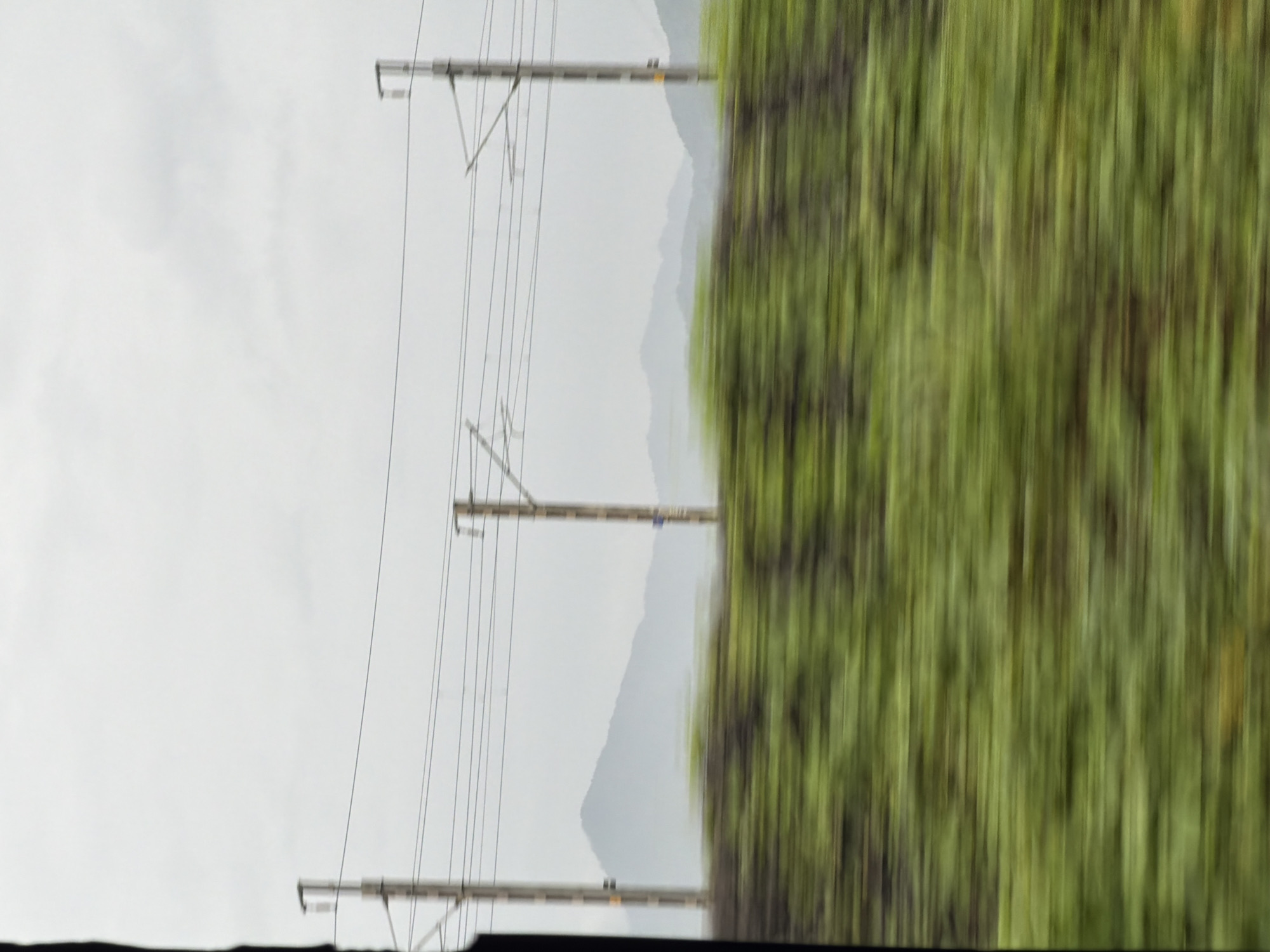 The image captures a blurred view of a rural or semi-rural landscape, likely taken from a moving vehicle. In the foreground, a band of intensely blurred green foliage streaks across the lower portion of the frame, suggesting rapid motion. Behind this, a line of soft-focus hills recedes into the distance under a hazy, overcast sky. Interspersed between the foreground and the hills are several tall, thin utility poles with overhead wires, characteristic of railway lines or power infrastructure. The poles are spaced apart, with two prominent ones clearly visible on the right and left sides of the frame, and another in the center. The overall impression is one of movement and a diffused, natural environment. The scene does not contain any identifiable people or specific urban elements that would strongly indicate a location within Vasai-Virar, India; it depicts a generalized vista of rolling hills and infrastructure.