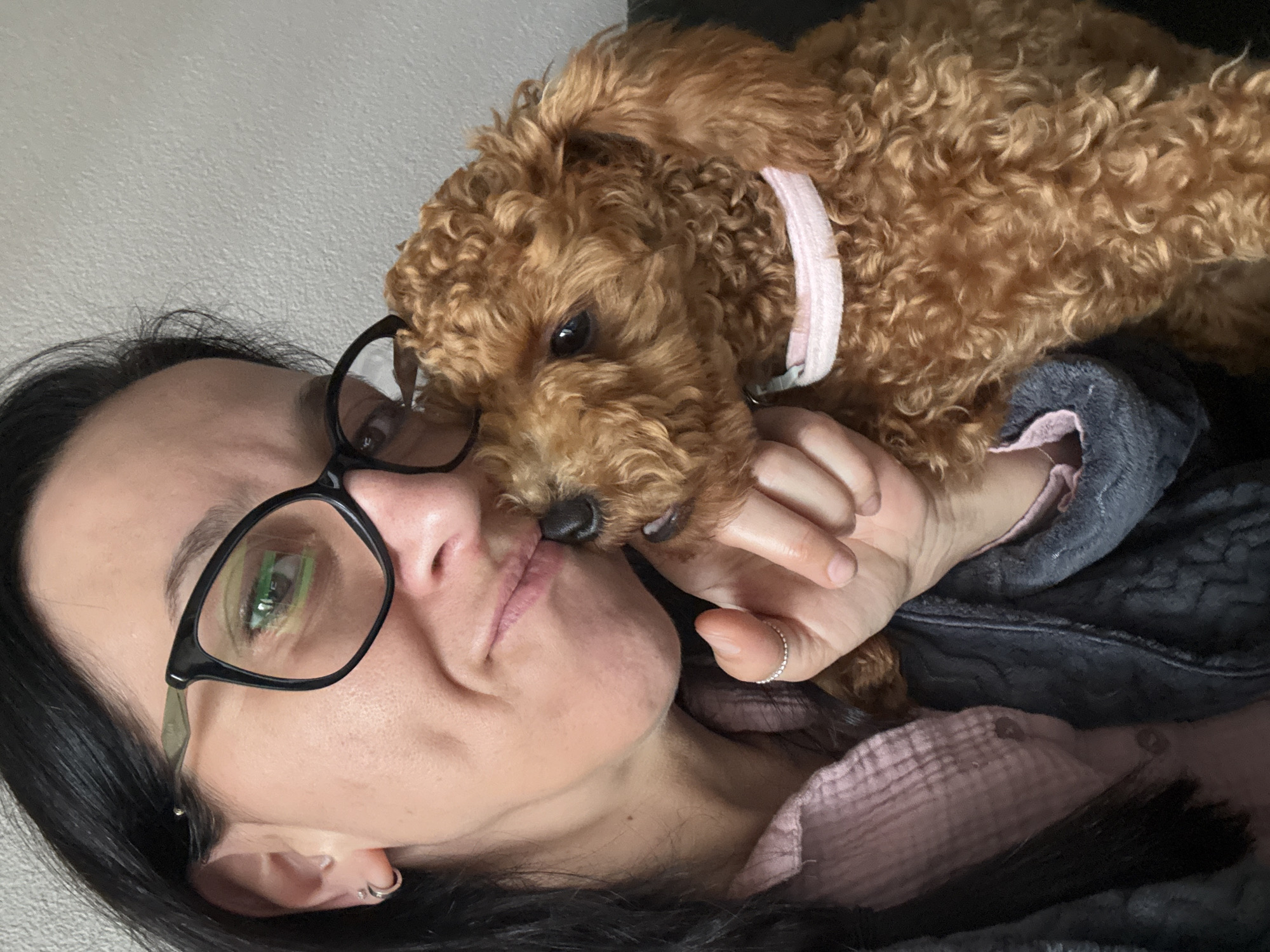 The image displays a close-up, indoor portrait of a female human subject and a small, reddish-brown curly-haired dog in an intimate interaction. There is no visual information present in the image to determine a specific geographical location, including the city of Marum, Netherlands.
The human subject, positioned on the left, has dark hair and fair skin. She wears black-framed prescription glasses, with a noticeable green reflection visible in the left lens. Her left earlobe features a small silver hoop earring and a smaller stud above it. Her head is tilted towards the dog, with her mouth slightly pursed near the dog's nose. She is dressed in a light pink, textured long-sleeved shirt, layered under a dark gray, plush jacket or robe. Her left hand gently supports the dog, revealing a thin, beaded silver ring on her ring finger.
The dog, occupying the right side of the frame, is a small breed with dense, curly, reddish-brown fur, dark eyes, and a dark nose. It wears a light pink collar. The dog's head is slightly raised, with its nose touching the human's mouth, indicating an affectionate interaction.
The background consists of a plain, light-colored, textured wall. The scene is evenly lit with soft, ambient light.