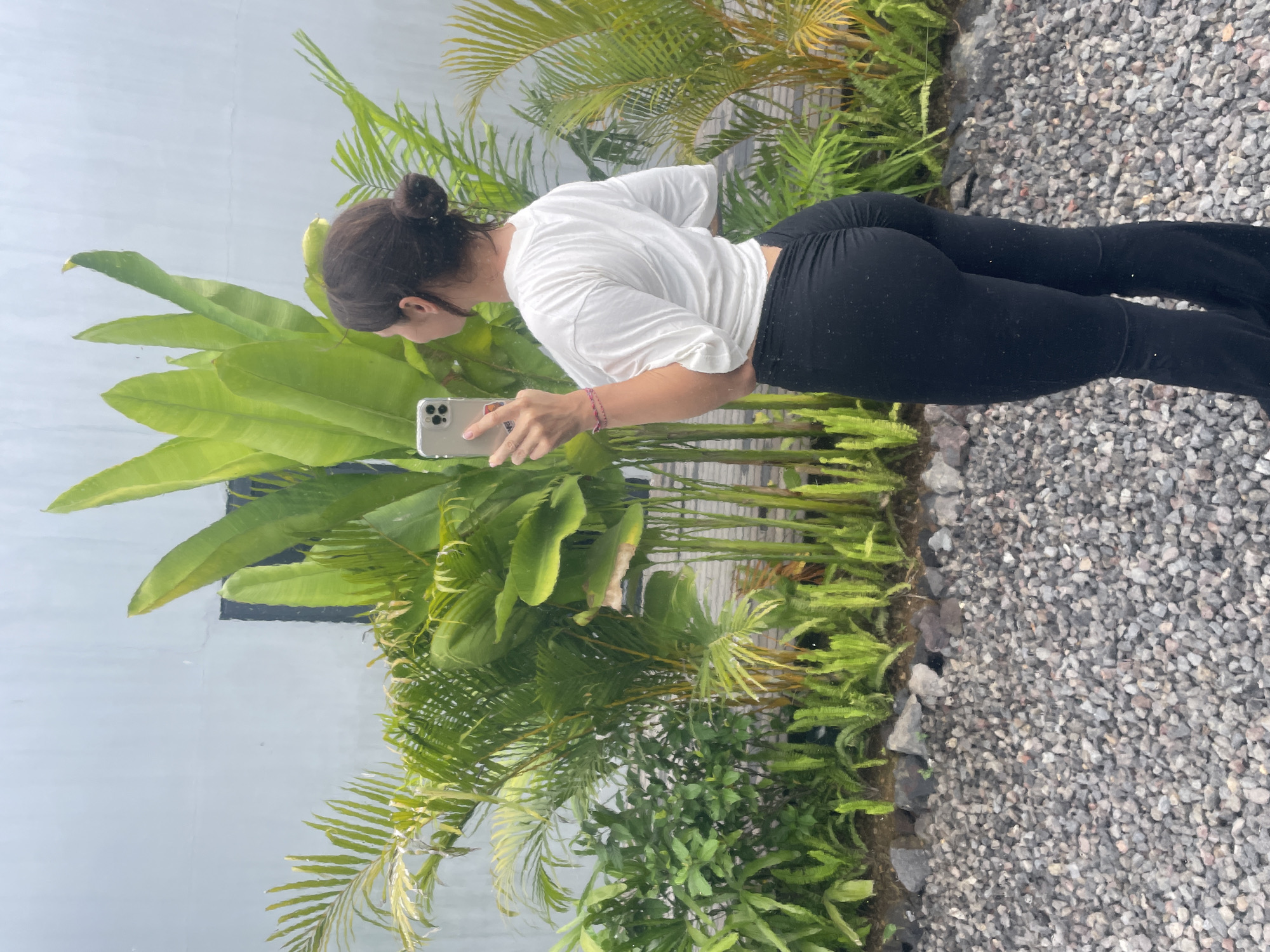 A woman is taking a mirror selfie outdoors, with lush green tropical plants and a gray wall as the backdrop. She is wearing a white t-shirt and black leggings. The ground is covered with small gray pebbles. The scene appears to be in a garden or courtyard, possibly in Kediri, Indonesia, judging by the tropical vegetation. The lighting suggests it may be an overcast day.