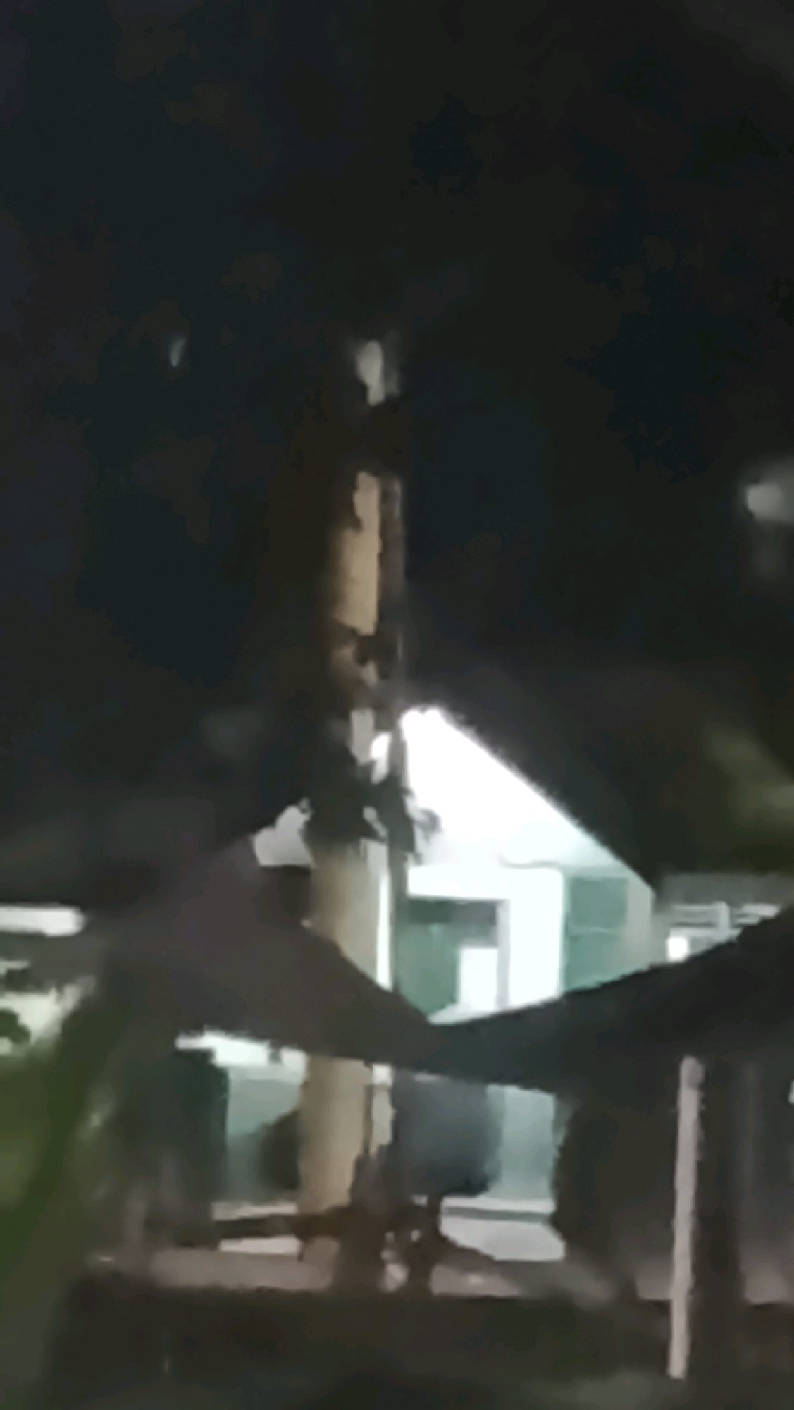 A blurry nighttime video shows a wooden pole with dark objects attached to it. The pole is located in front of a building with white and green accents. The surrounding environment is dark, with some indistinct lights visible in the background. The perspective suggests the camera is at ground level, looking up at the pole and building.