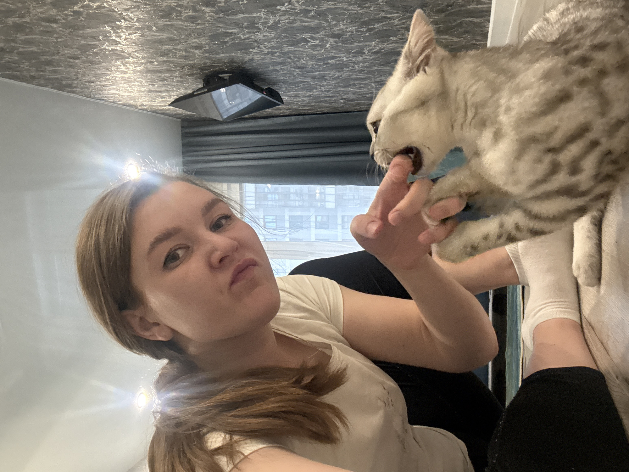 In an indoor residential setting, a young woman with brown hair tied in a ponytail is on the floor interacting with a light-colored kitten. The woman, wearing a white t-shirt and dark pants, is leaning forward, offering her finger to the kitten, which is biting it playfully. The kitten has gray tabby markings. The floor appears to be light wood laminate. In the background, a gray textured wallpaper covers the wall, with a flat-screen television mounted on it. To the left, a window with dark gray curtains is visible, and beyond that, a cityscape with buildings can be seen. The lighting suggests artificial indoor illumination, possibly from ceiling lights. The scene suggests a casual interaction within a home environment. There is no specific information to indicate the location as Izhevsk, Russia.