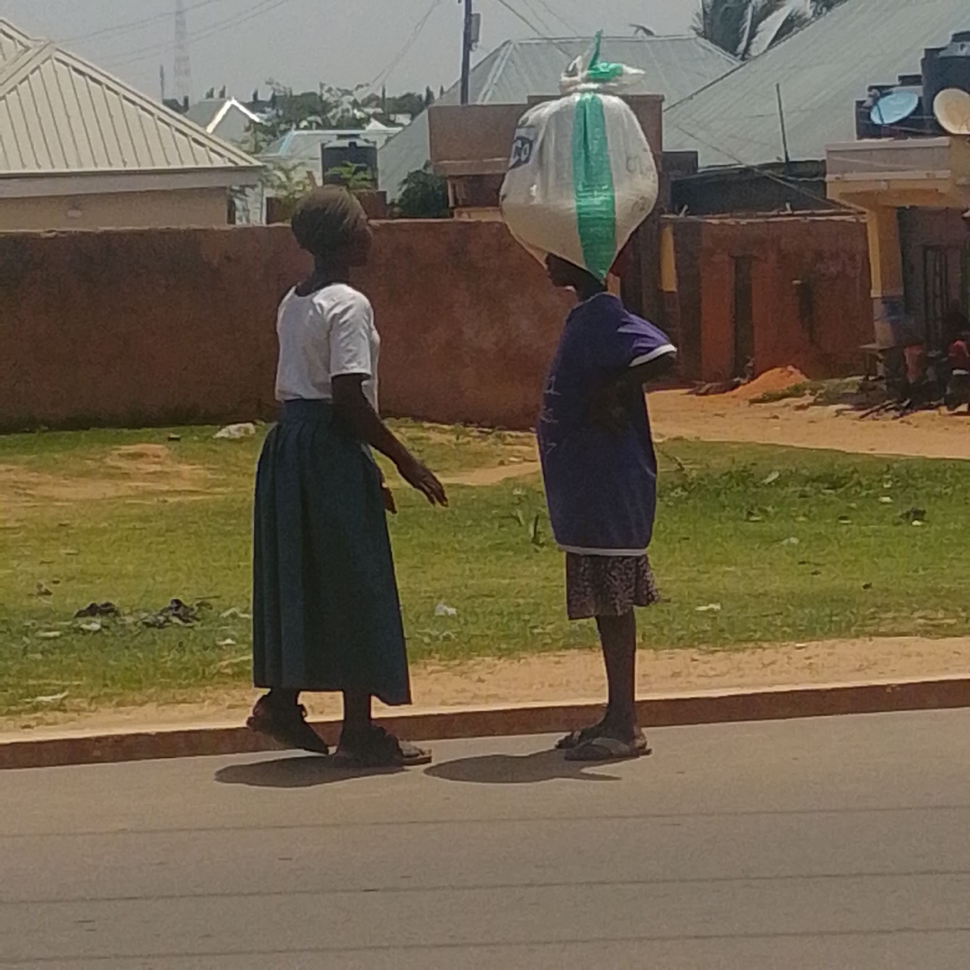 Two young people, likely children, are depicted in a street scene in Gombe, Nigeria. The person on the left, wearing a white t-shirt and a long blue skirt, stands with their left hand extended towards the other person. The person on the right, dressed in a dark purple t-shirt and a patterned skirt, carries a large, white plastic bag filled with a light-colored substance, balanced on their head. The bag is tied at the top with a green and white strip.
They are positioned on a paved road, with a dirt embankment and grassy area to their left. In the background, several buildings with corrugated metal roofs are visible, typical of urban or semi-urban residential areas. Some of these structures appear to be houses, and one has a satellite dish. The overall environment suggests a warm, sunny day in Gombe, Nigeria. The scene captures a moment of everyday life, potentially involving the carrying of goods.