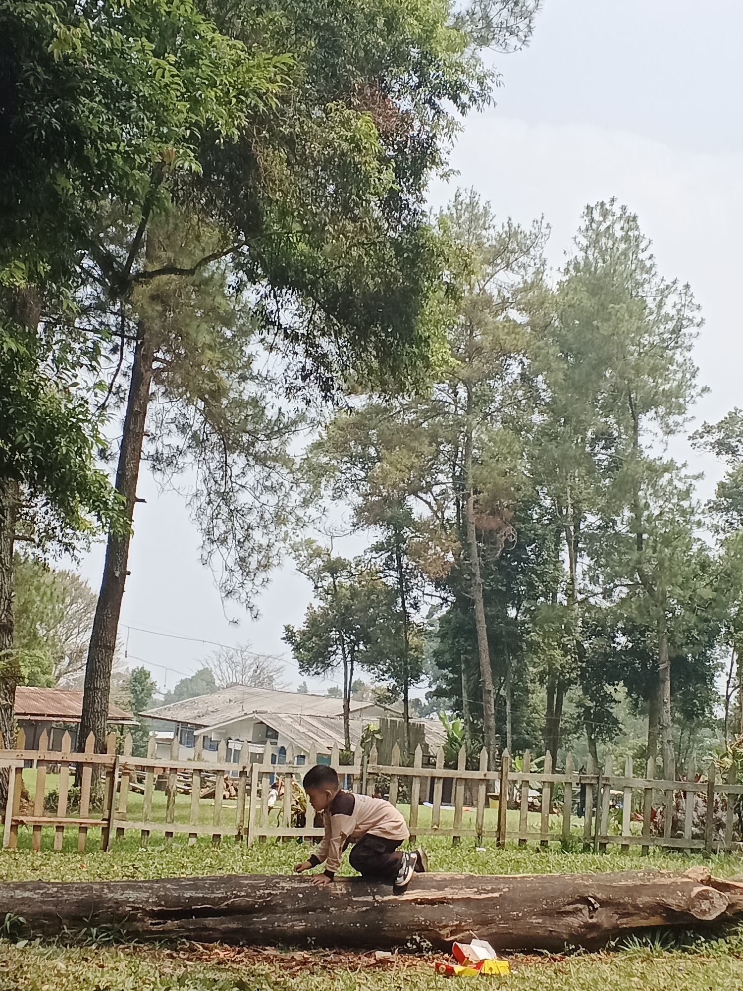 A young boy in a light brown and dark brown outfit is kneeling on a large fallen log in a grassy park. The log is rough and textured, lying horizontally across the foreground. The boy is facing towards the right side of the frame, his hands resting on the log. In the background, there is a wooden fence, and beyond that, several buildings with light-colored roofs are visible. Tall trees with green foliage dominate the upper portion of the image, creating a natural, outdoor setting. The sky is overcast and light-colored. The scene appears to be in Perbawati, Indonesia, given the context provided.