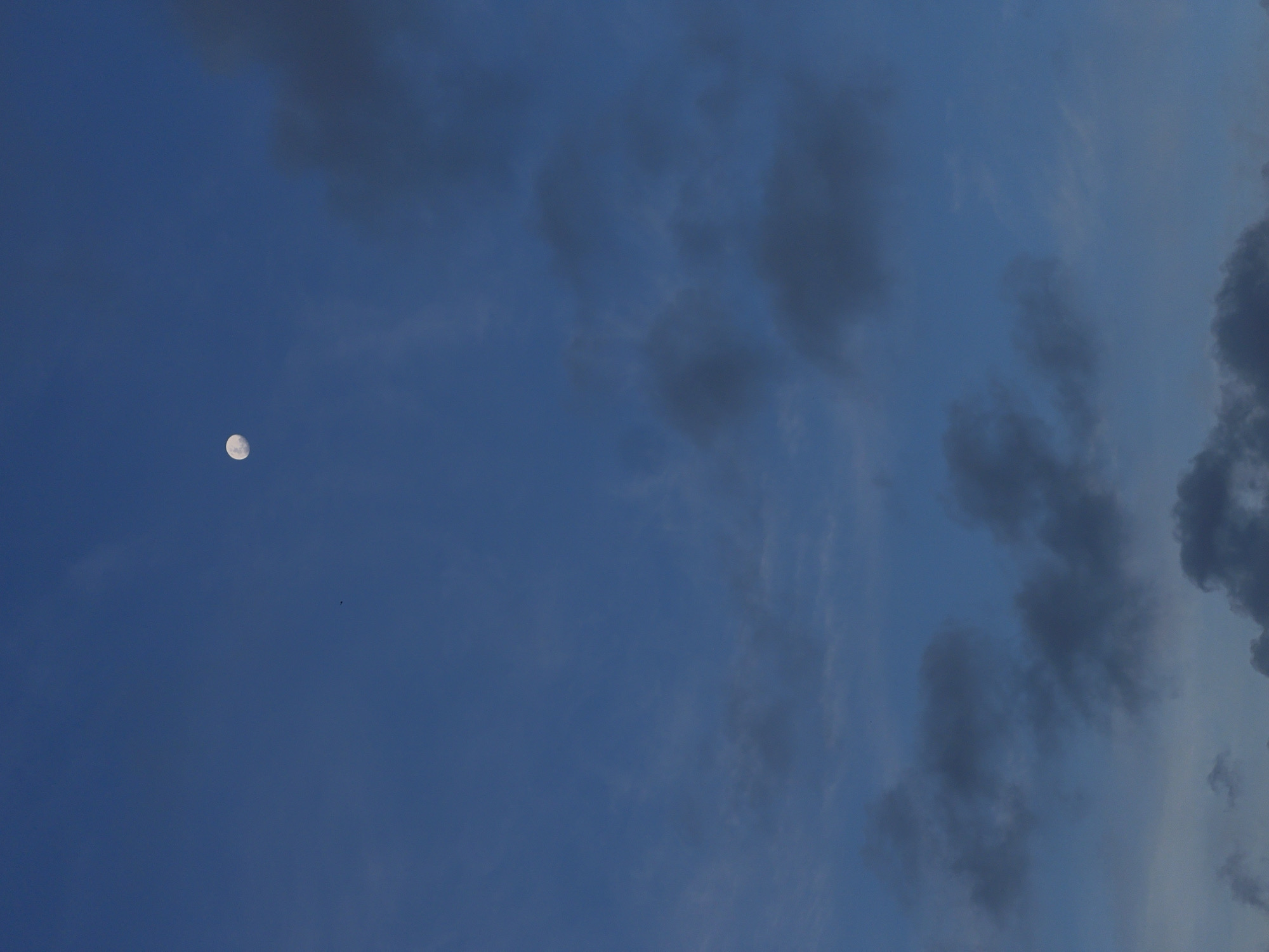 A serene twilight or dusk sky is captured, showcasing a deep blue expanse partially adorned with clouds. In the upper left quadrant, a prominent, nearly full moon shines brightly, revealing discernible craters and surface texture. Its luminosity stands out against the darkening sky.
The clouds vary in density and form; some are wispy and translucent, allowing the blue sky to show through, while others are denser and darker, particularly clustered along the right side of the frame. These darker clouds suggest an upcoming or receding weather system, or simply thicker atmospheric conditions. A tiny, dark speck, possibly a distant bird, is visible in the upper left area, adding a subtle element of life to the vast sky.
The overall scene conveys a peaceful and expansive mood, characteristic of the transition between day and night. There are no visible people, man-made objects, or text. The image focuses solely on the natural interplay of the moon, clouds, and sky. The scene is set under an open sky, potentially in North Kuta, Indonesia, as indicated by the provided context.