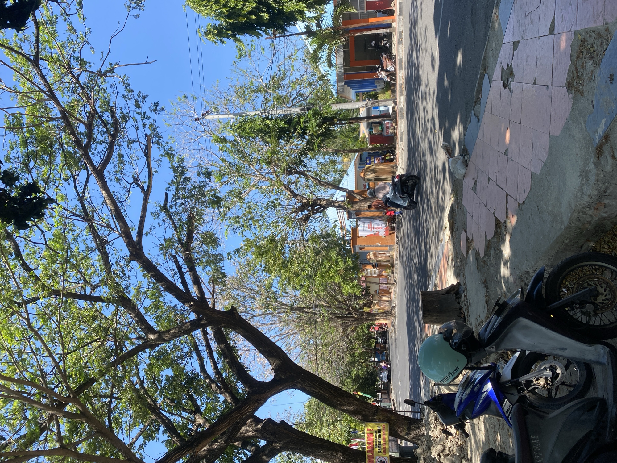 This is a medium-shot, eye-level, outdoor photograph taken on a sunny day, capturing a street scene in Bantaeng, Indonesia. The foreground is dominated by two parked motorcycles. The motorcycle on the left is blue and white with "YAMAHA" branding. It has a light blue helmet with "Classic" text on it placed on its handlebars. Partially visible in front of it is another motorcycle, primarily dark gray.
Beyond the motorcycles, a cracked and uneven sidewalk transitions to a paved road. Several trees with lush green foliage line the street, with their branches extending over the road and casting shadows. In the mid-ground, traffic is moving along the road. A person is riding a dark motorcycle with a light-colored shroud. Further down the street, more motorcycles and a car are visible.
On the right side of the street, there are several buildings with blue roofs and orange and white facades. One building has signage that includes "NASI SANTAN". People are visible walking and standing near these buildings. A tall, thin utility pole with wires runs along the street. The background shows a clear blue sky. A yellow sign with red text warning "DILARANG!" (Forbidden!) is visible on a post to the left of the frame, near one of the large trees. The overall atmosphere suggests a typical day in a bustling Indonesian town.