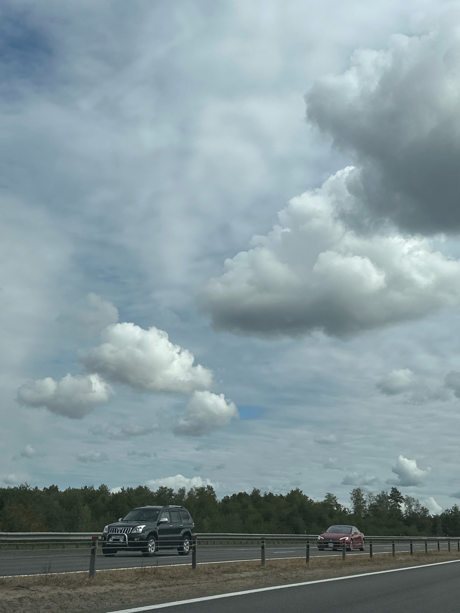 An eye-level, medium shot captures a cloudy day scene on a highway, with a dark green SUV in the left lane and a red sedan in the right lane, both traveling away from the viewer. The SUV is a Toyota Land Cruiser Prado, identified by its license plate which appears to be from Belarus. The red sedan is a Tesla Model S, also bearing a Belarusian license plate. Both vehicles are on a paved, multi-lane highway bordered by a metal guardrail and posts. In the background, a dense line of green trees forms a forest, suggesting a rural or suburban setting, possibly near Лапіцкі сельскі Савет, Belarus. The sky is filled with a mix of light and dark gray clouds, with hints of blue peeking through.