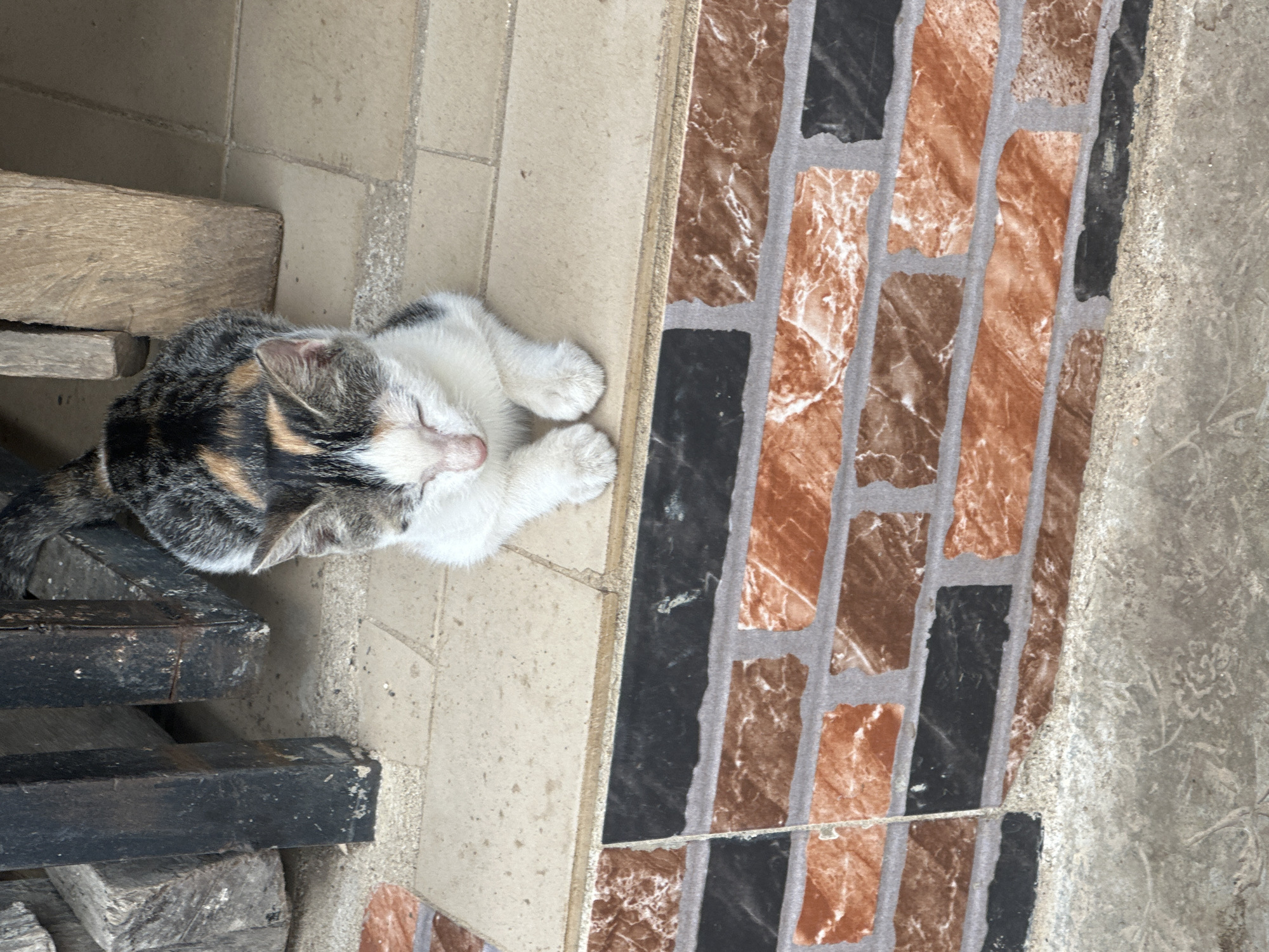 A calico cat, predominantly white with patches of black and orange/brown fur, is observed resting on light beige square tiles in Ihiagwa, Nigeria. The cat's eyes are closed, and its front paws are tucked beneath its chest. Behind the cat, dark-colored rectangular metal posts and weathered wooden beams are visible. Below the tiled surface, a vertical facade features a brick-like pattern composed of reddish-brown and black rectangular elements separated by light grey lines. The ground surface directly below this patterned facade appears to be rough concrete or gravel. No other individuals or active interactions are present in the scene.