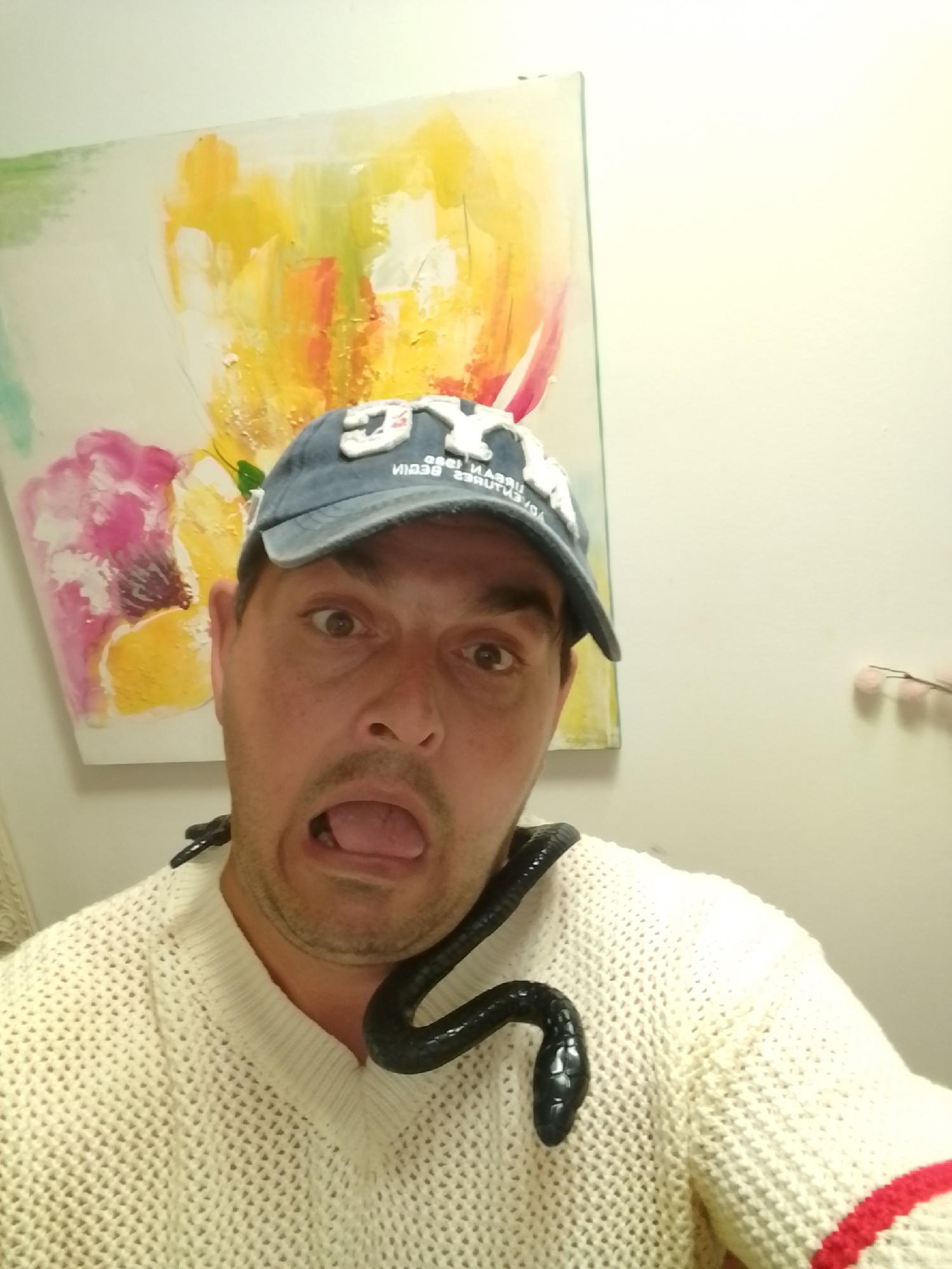 In a close-up selfie, a man wearing a blue baseball cap and a cream-colored sweater is pictured with a black snake coiled around his neck and shoulders. His mouth is open, and his tongue is sticking out, giving a surprised or playful expression. Behind him is a vibrant abstract painting with splashes of yellow, pink, and green. The setting appears to be indoors, possibly a residential environment. The man is positioned in the foreground, with the painting and a plain wall in the background. There are no specific landmarks or architectural details visible that would indicate a location within the city of Wedel, Germany.