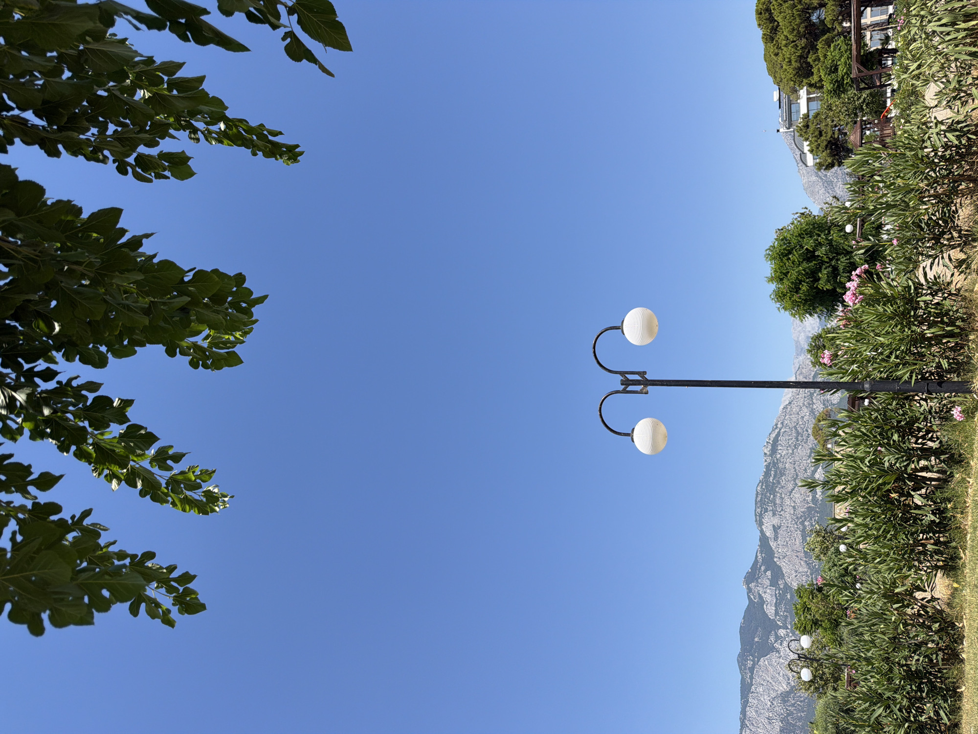 The image depicts a bright, sunny day in Kemer, Turkey, with a clear blue sky. In the foreground, lush green foliage, possibly oleander bushes with hints of pink flowers, lines a grassy area. A double-headed lamppost with white spherical lights stands prominently in the middle ground. Behind the bushes and lamppost, a picturesque mountain range dominates the horizon. Trees, including evergreens and deciduous varieties, are scattered throughout the landscape. In the distance, buildings with modern architecture are visible, suggesting a developed area, possibly a resort or residential zone, within or near Kemer. The composition is framed by the leaves of a tree in the upper portion of the image, suggesting it is a park or garden setting with a view of the natural landscape.