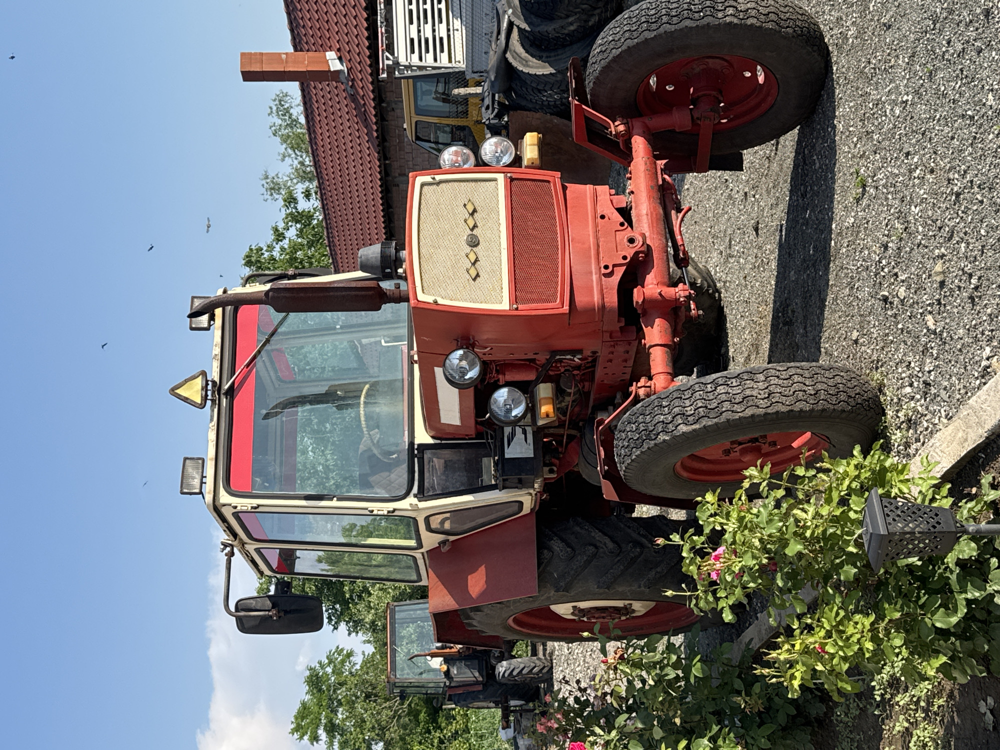 This image, taken in Sarnevo, Bulgaria, depicts an outdoor scene featuring agricultural machinery and a rural building under a clear blue sky.
In the foreground, a red and off-white/cream universal wheeled tractor is prominently parked on a gravel surface, facing slightly right. The tractor features a red chassis, fenders, and wheel hubs, contrasting with an off-white cab frame detailed with red window surrounds. The front grille is cream-colored and gridded, featuring four golden diamond-shaped emblems. Two round headlights illuminate the front, with an amber marker light below the right one. A large exhaust pipe extends upwards from the left side of the engine compartment. The cab roof mounts a rectangular work light and a yellow triangular warning sign. A black rearview mirror is attached to the left side of the cab. The left rear wheel, partially visible, has a deep-tread tire and a red rim. The smaller front wheels also have red rims and less aggressive tires.
To the left of the main tractor, rose bushes with sparse pink blooms and buds occupy the immediate foreground, accompanied by a black, decorative solar-powered lantern. Concrete blocks are visible near the base of these plants.
In the mid-ground, a second, older tractor with a darker red/orange color and an enclosed cab is partially visible behind the main tractor, positioned to the left. It is also parked on the gravel and partially obscured by green foliage.
In the background, on the right, a building with a distinctive red-tiled roof and an orange brick chimney is visible. Adjacent to this building, a yellow vehicle, possibly a truck or another piece of machinery, is parked, along with a stack of black tires.
The sky is predominantly clear blue with a few wispy white clouds on the far left. Several small birds are discernible in flight across the sky. The scene is illuminated by bright daylight, indicated by sharp shadows cast on the gravel.