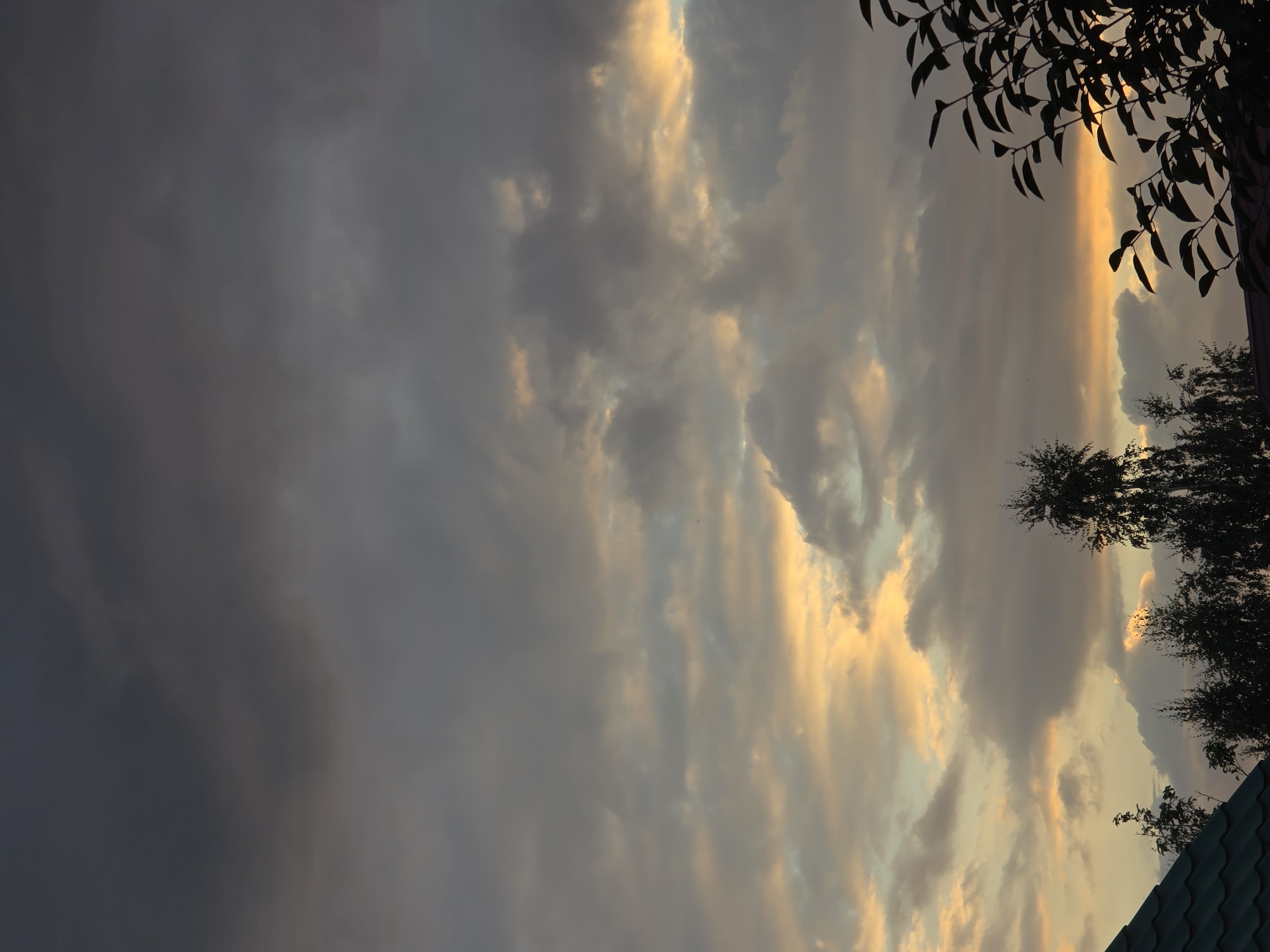The image depicts a cloudy sky with hues of gray, yellow, and orange, suggesting either sunrise or sunset. Silhouetted against the sky are the tops of several trees and a portion of a building's roof. The scene appears to be an outdoor view, possibly from a residential area. There are no people visible in the image. The location is identified as Речицы, Russia.