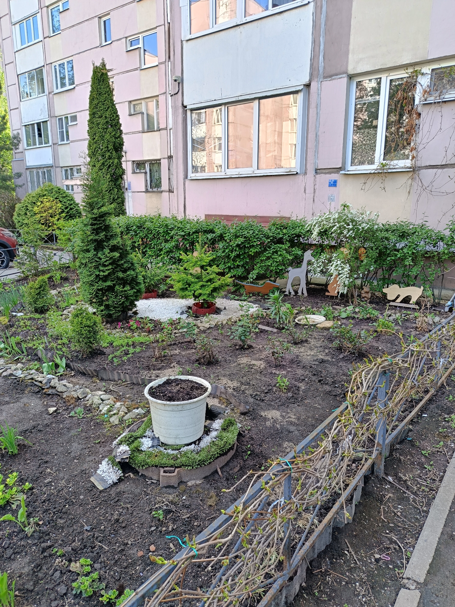 The image shows a small, somewhat unkempt garden in front of a pink and white apartment building. The location is suggested to be Saint Petersburg, Russia, based on the architectural style of the building.
The garden features a variety of plants including trees, shrubs, and ground cover. There are also decorative elements such as a white potted plant, stones, and wooden animal figures. A metal fence runs along one side of the garden, and bare branches are climbing up it.
The area around the garden consists of bare soil and some concrete pavement. The overall impression is that the garden is maintained but not meticulously groomed.