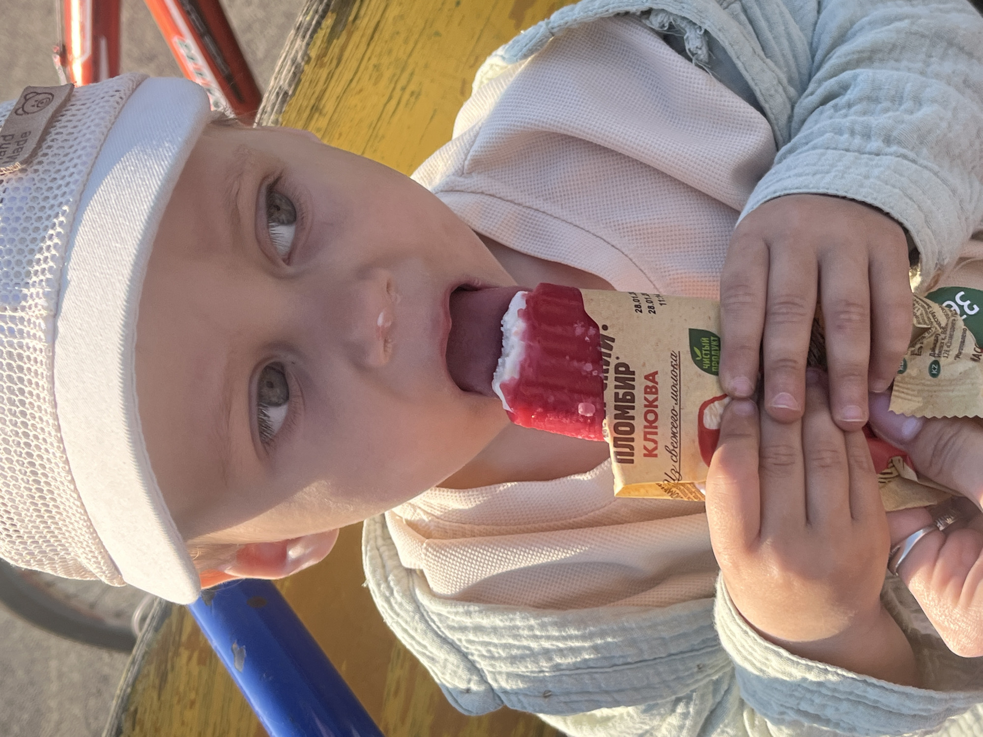 A young child, facing slightly left, enjoys a cranberry ice cream bar. The child wears a white mesh cap and a light-colored, button-down shirt. The ice cream bar is red and white. The child's hands hold the ice cream bar wrapper, which has writing in Cyrillic, including the word "КЛЮКВА" (cranberry), and the words "ПЛОМБИР" (ice cream) and "з свежего молока" (from fresh milk), also with dates and "Чистый ПРОДУКТ" (clean product) printed on it. In the background, part of a bicycle is visible. The scene appears to be outdoors. According to the Cyrillic writing on the ice cream bar wrapper, the location is near Фоки, Russia.