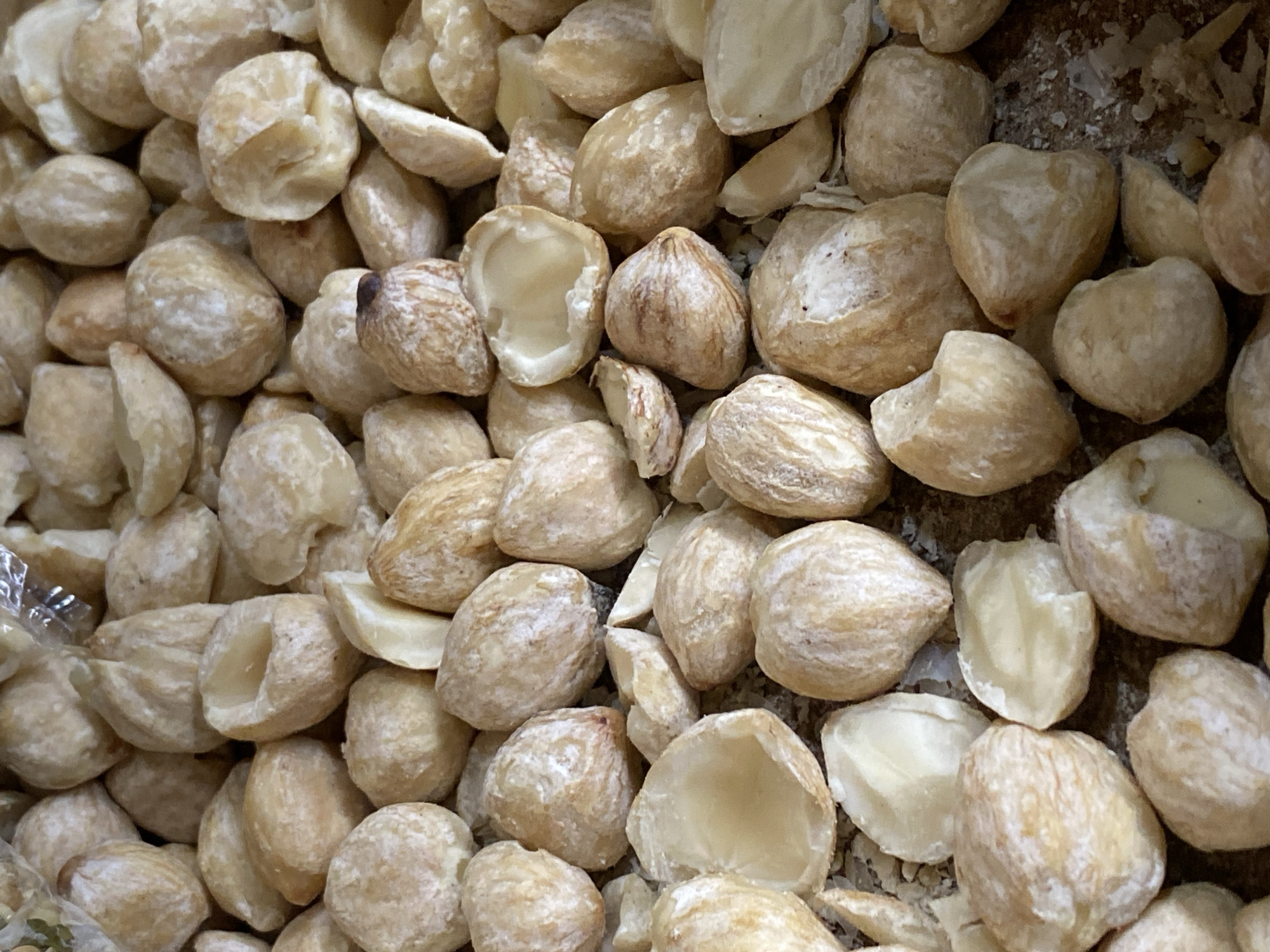 A close-up, overhead shot displays a large quantity of candlenuts, also known as kemiri, piled on a dark, textured surface. The nuts are light brown to beige in color, with some exhibiting a powdery white residue. Many of the candlenuts are whole, while others are cracked open, revealing their pale, creamy interiors. The surface they rest on appears to be gritty, with small flecks of debris visible. The lighting is even, highlighting the textures and shapes of the candlenuts. There are no people or animals present in the image. The location is the village of Ambarketawang, Yogyakarta, Indonesia, a region known for its agricultural production, including candlenuts which are commonly used in Indonesian cuisine.