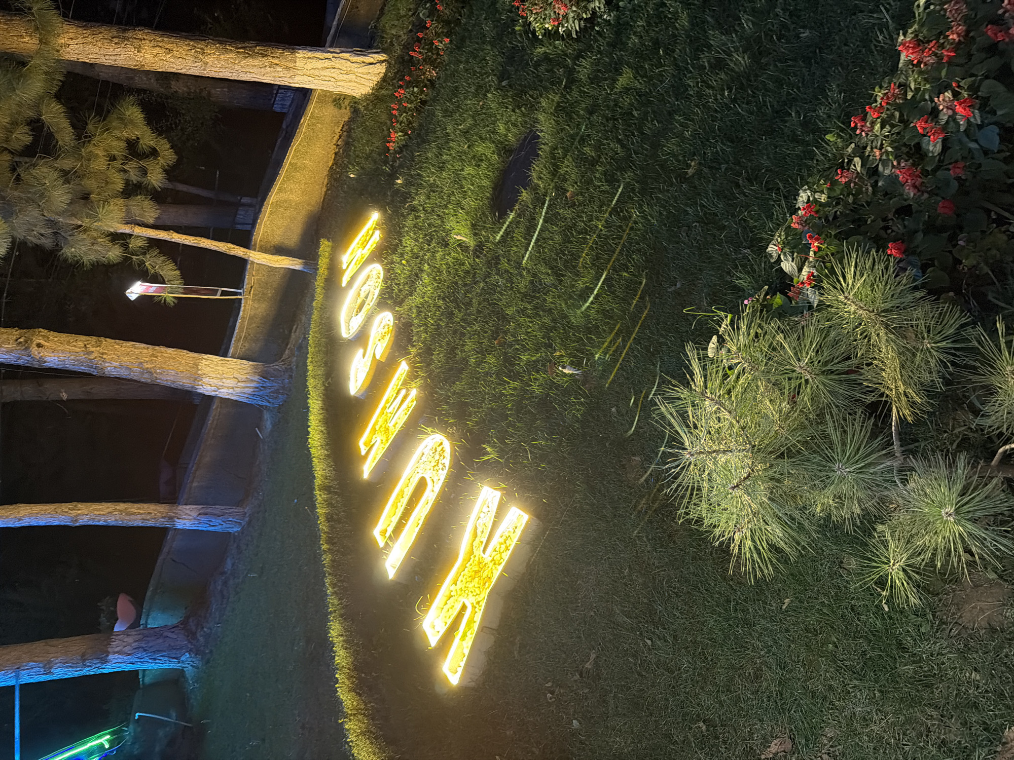 In Khumsan, Uzbekistan, at night, illuminated neon letters spell out "Maison" on a grassy lawn. The letters are bright yellow and appear to be raised from the ground, casting a warm glow on the surrounding grass. Several tall trees with rough bark stand behind the illuminated sign, their trunks lit by blue and yellow lights. A low, curved wall runs behind the trees, also illuminated by yellow lights. In the foreground, a small pine tree with needle-like leaves is visible, along with patches of red flowers. The overall scene suggests an outdoor evening setting, possibly a garden or a public space, decorated for an event or to enhance the ambiance.