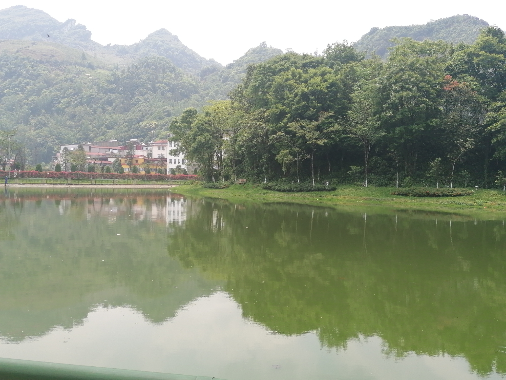 The photograph shows a lake with still, green-tinted water reflecting the surrounding environment. In the background, mountains covered in lush green vegetation rise into a cloudy sky. Buildings are situated along the shoreline, partially obscured by trees. A red-flowered hedge borders the lake. The foreground includes a portion of a green railing, suggesting a viewing area. The scene appears to be set in Sa Pa Ward, Vietnam, as evidenced by the typical Vietnamese architecture and mountainous terrain.