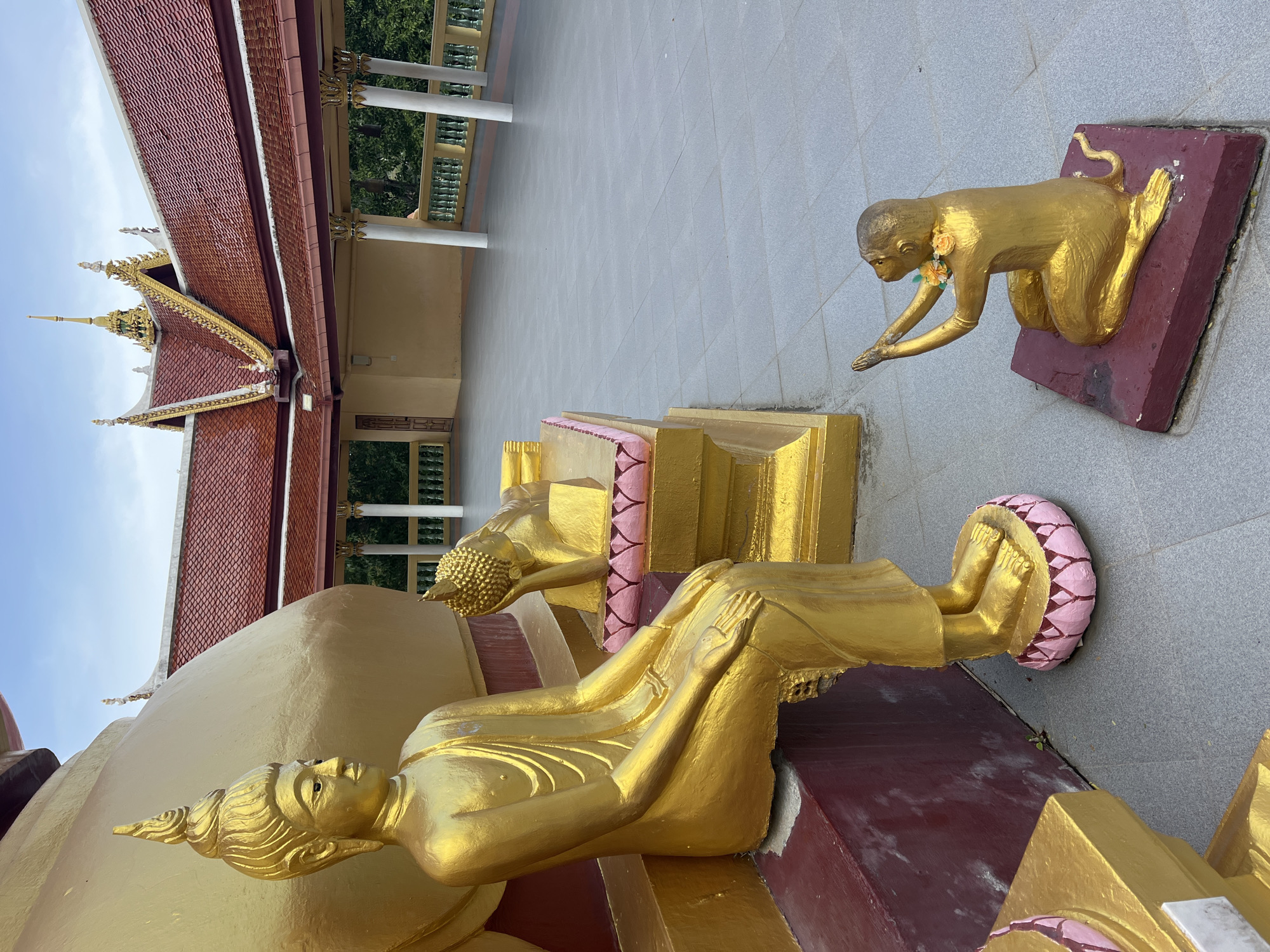 The image depicts a scene at a Buddhist temple in Ko Samui District, Thailand. In the foreground, a golden statue of a seated Buddha is positioned on the left. To the right of the seated Buddha, a smaller golden statue of a monkey is kneeling with its hands clasped in a gesture of prayer. In the background, to the right of the seated Buddha, a reclining golden statue of a Buddha is visible. The statues are placed on a paved outdoor area with a tiled floor. Behind the statues, a building with a red tiled roof and ornate golden trim is partially visible, suggesting it is part of the temple complex. The sky above is partly cloudy.