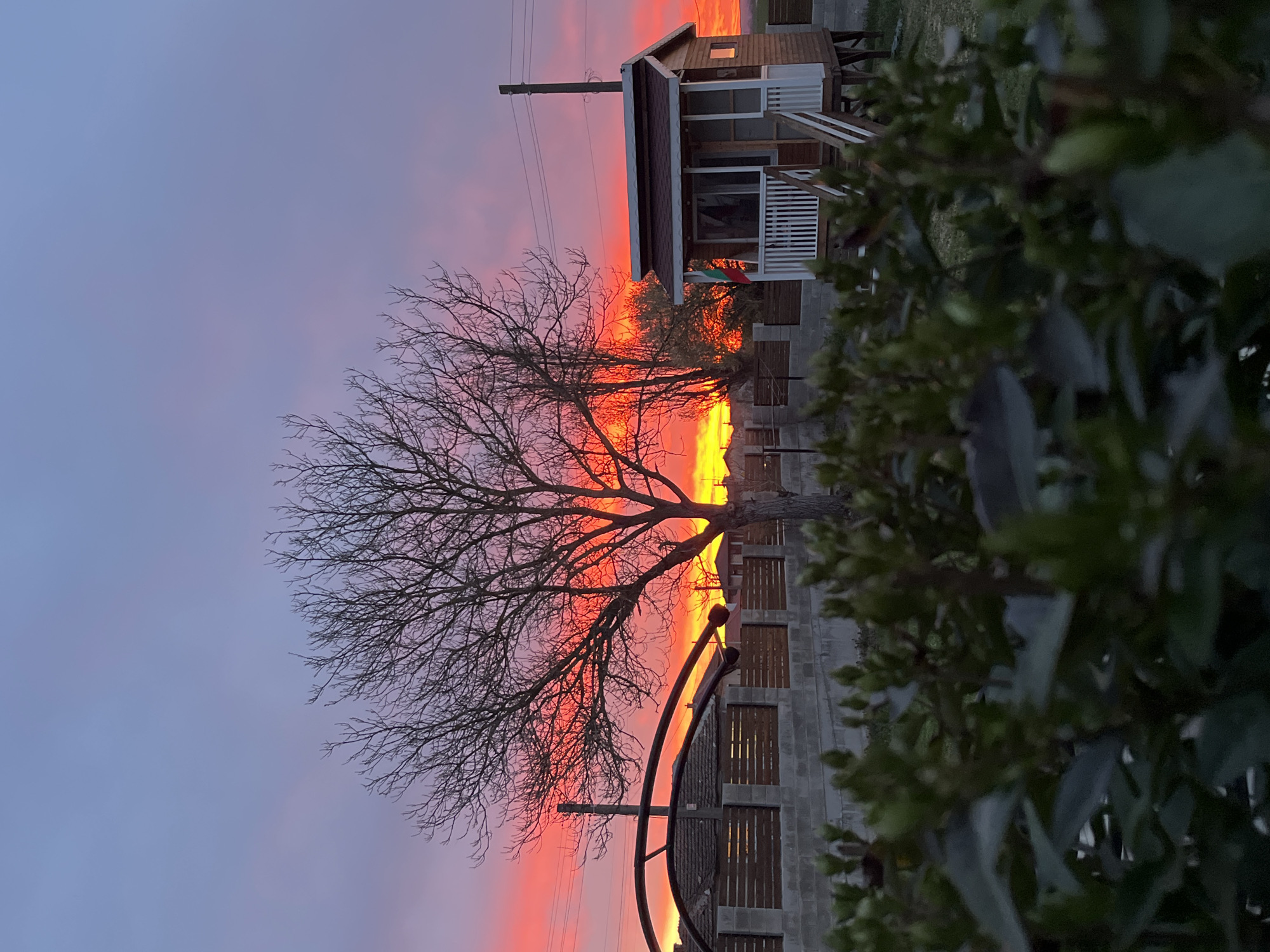 The image shows a sunset in Pchelnik, Bulgaria. A leafless tree stands in the foreground, silhouetted against a vivid orange and red sky. To the right of the tree is a gray, concrete block structure topped with wooden slats. A small, wooden house with a porch is partially visible above and to the right of the tree. A bush with green leaves occupies the right side of the frame, partially obscuring the view. Utility poles and power lines are visible against the colorful sky. The sky transitions to a lighter blue towards the upper left corner.