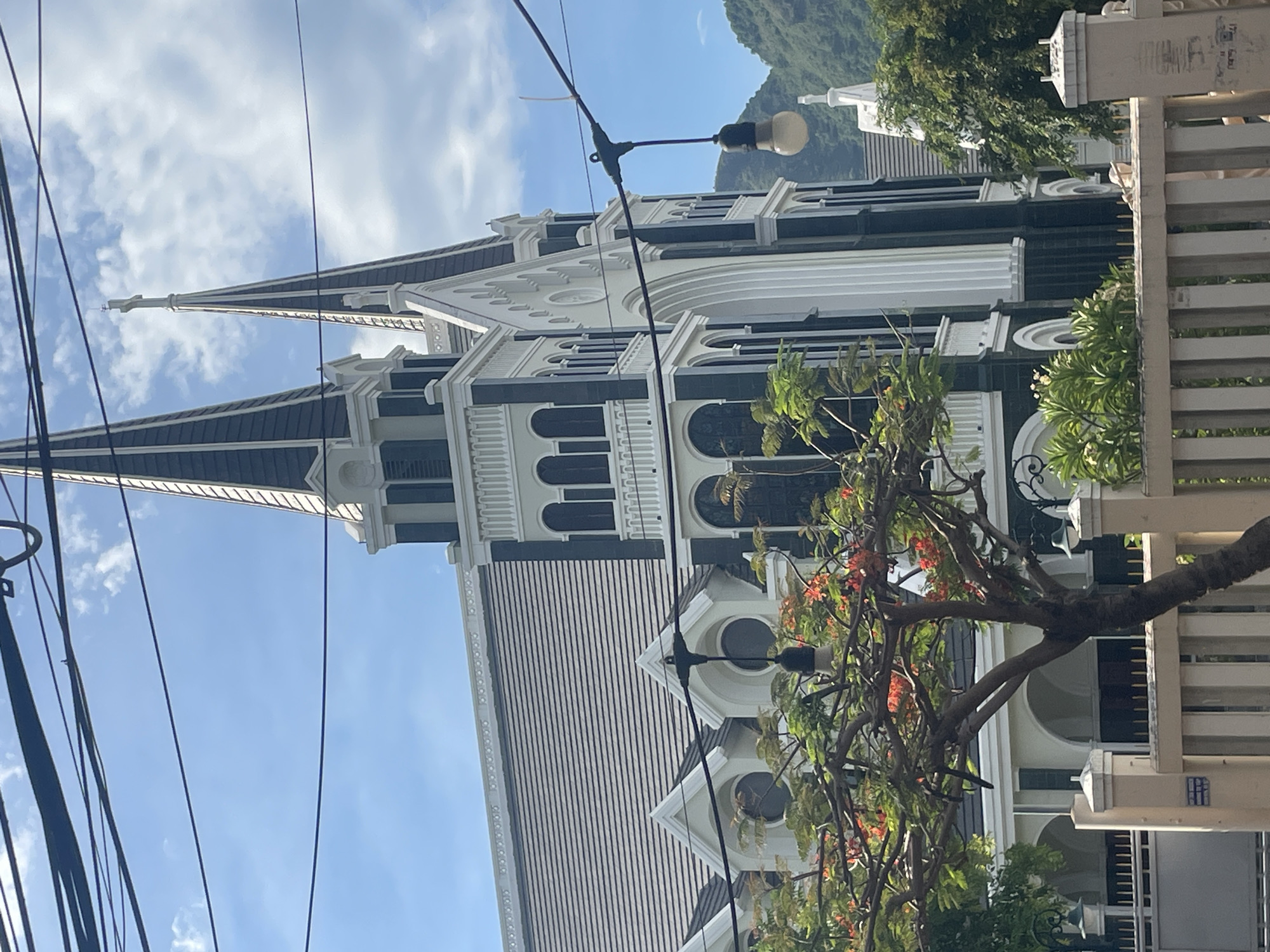 In Nha Trang, Vietnam, the Nha Trang Cathedral, a prominent Gothic Revival church, is depicted. The facade of the church features twin spires and intricate architectural details, with dark green and white accents. In the foreground, a tree with vibrant orange flowers and lush green leaves partially obscures the view of the building. A low fence made of concrete and metal bars runs across the lower part of the image. Overhead, a tangle of power lines crisscrosses the sky, with a single light bulb hanging from one of them. In the background, green mountains rise under a partly cloudy blue sky. The overall scene captures the architectural grandeur of the cathedral set against a natural backdrop, with elements of urban infrastructure present.