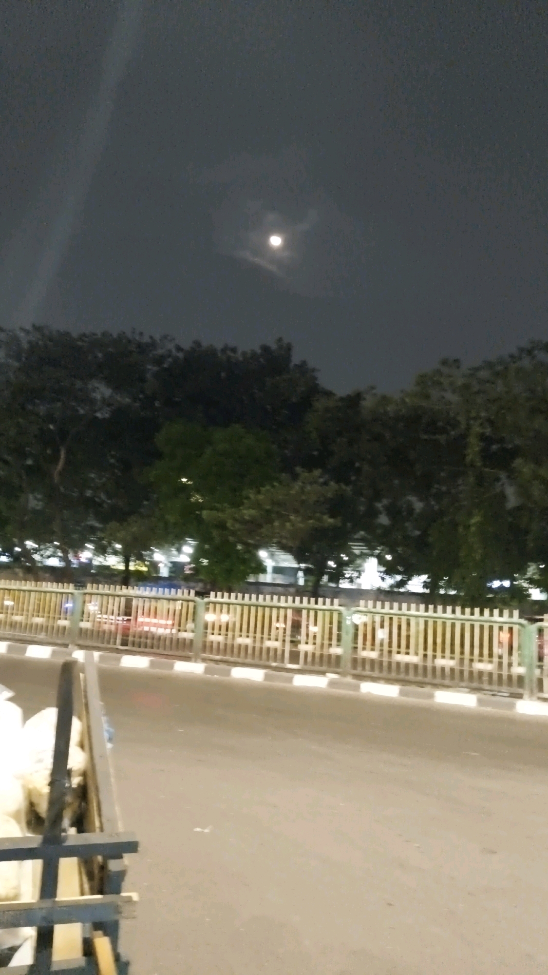 This is a nighttime photograph, likely taken from a low vantage point, possibly from a moving vehicle or a street-level perspective. In the upper portion of the image, a full moon is visible in a dark, cloudy sky. Below the sky, a dense line of trees stretches across the frame, with some streetlights or building lights visible through the foliage in the middle ground. A white and yellow striped fence runs horizontally across the mid-section of the image, separating the foreground from the background. The foreground consists of a paved road, with the edge of a cart or similar object, containing some white material, visible in the lower left corner. The overall impression is that of an urban scene at night, with the moon providing the primary natural light. This scene is consistent with a location in South Jakarta, Indonesia, given the types of trees and the general urban infrastructure depicted.