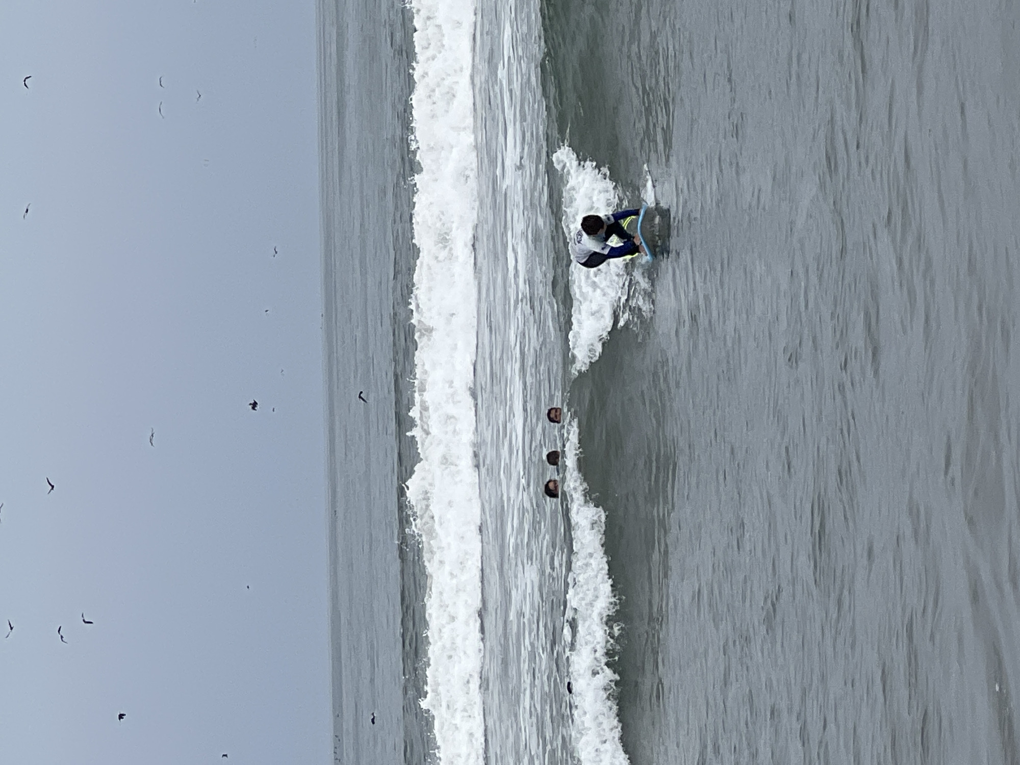 The photograph captures a scene at a beach in Arica, Chile. A lone surfer is riding a wave on a blue bodyboard. In the background, there are more people in the water. A flock of birds are scattered in the sky above the ocean. The weather appears overcast, with a gray sky and ocean.