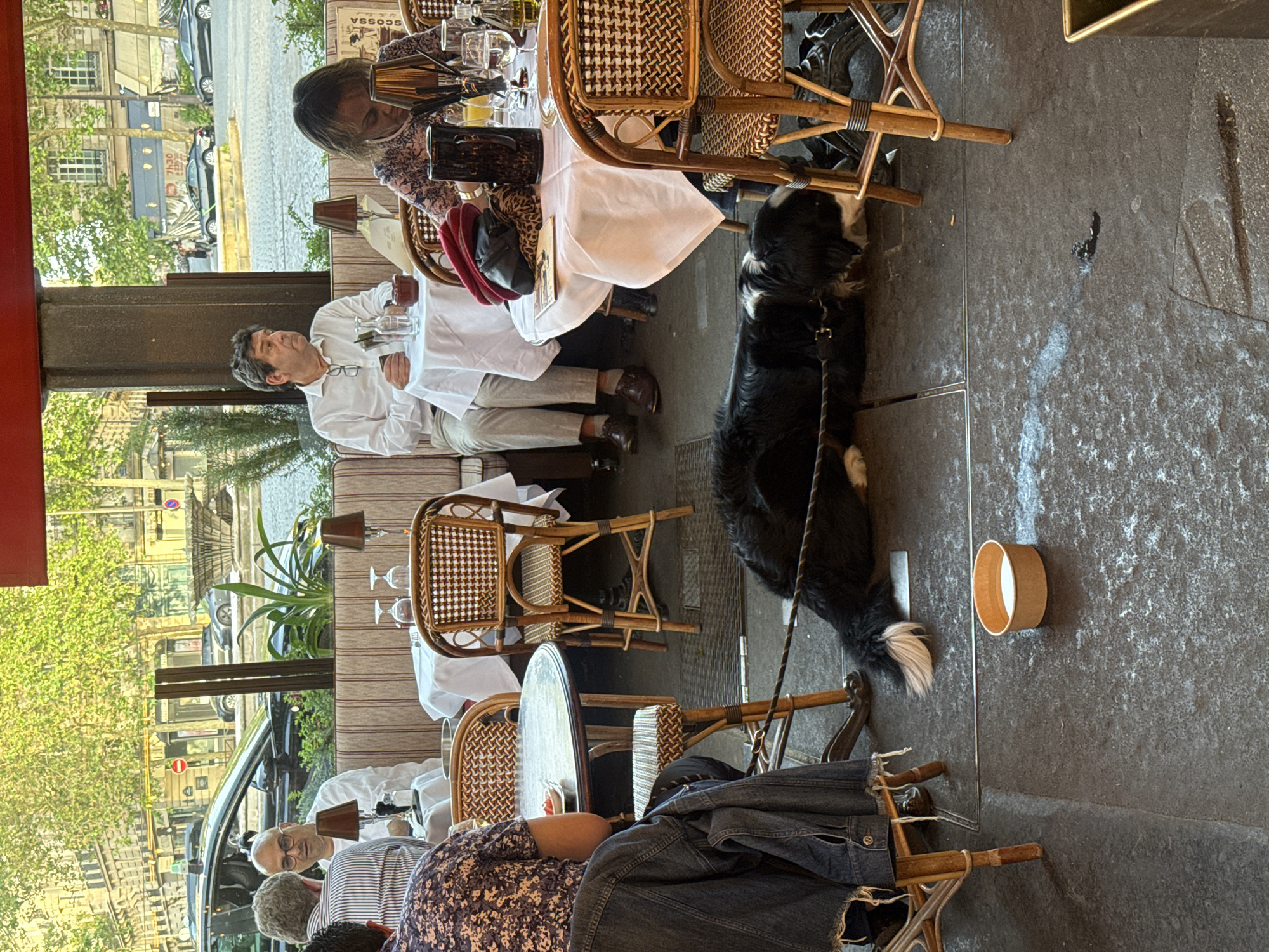 The image depicts an outdoor dining scene at a Parisian restaurant. Two patrons are seated at a table covered with a white tablecloth, and a black and white dog is lying on the ground next to one of the chairs. A third person is seated at a separate table in the foreground, with a denim jacket draped over the back of their chair. The chairs are made of wicker. Outside the restaurant, a street scene is visible, with cars and buildings typical of Paris.