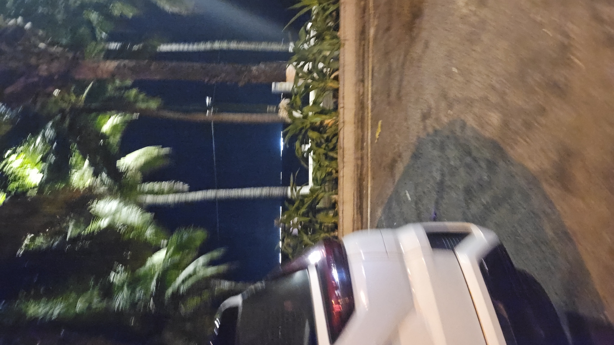 At night in Nha Trang, Vietnam, a white car is parked near palm trees, foliage, and a wall. The scene is dimly lit, and the perspective is at an angle.