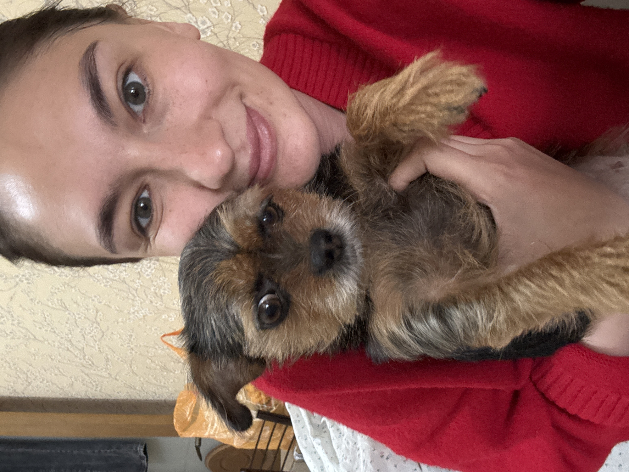 A person is lying down, wearing a red sweater, holding a small dog. The dog is mostly brown and gray with wiry fur. The background includes a patterned wall, possible bed linens, and a glimpse of furniture. There's no information to determine if the image was taken in Sochi, Russia.