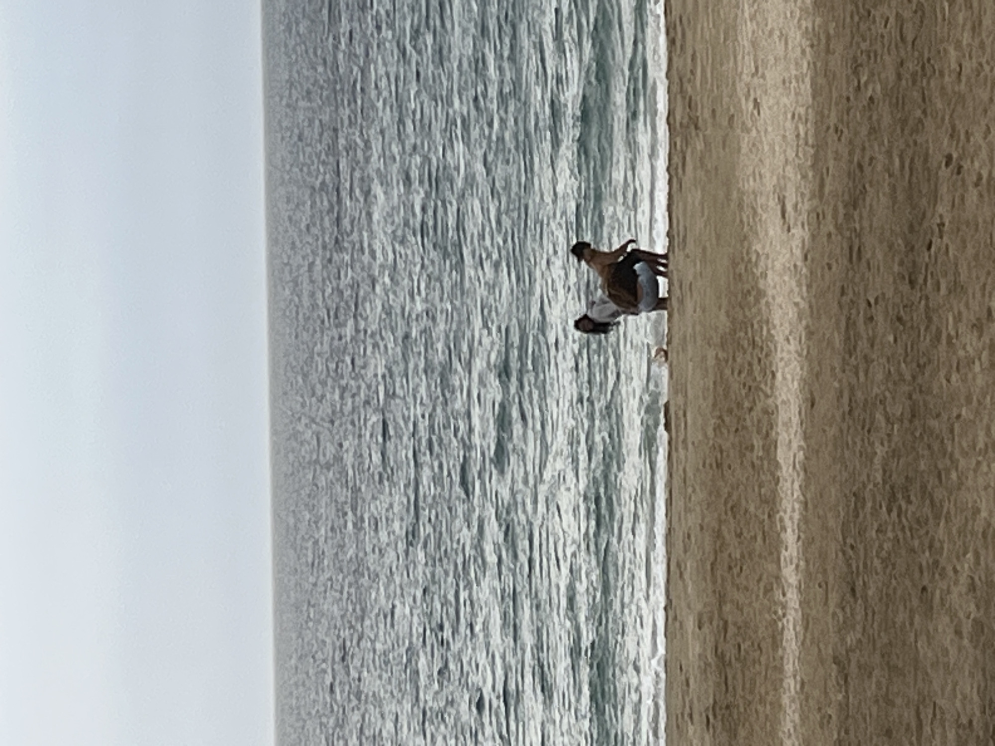 The image shows a beach scene in Alanya, Turkey. Two individuals are visible on the sandy shoreline where it meets the ocean. The sea occupies a significant portion of the image, displaying waves and a textured surface. The sky appears overcast. The sand is light brown in color. No specific interactions or activities are discernible.