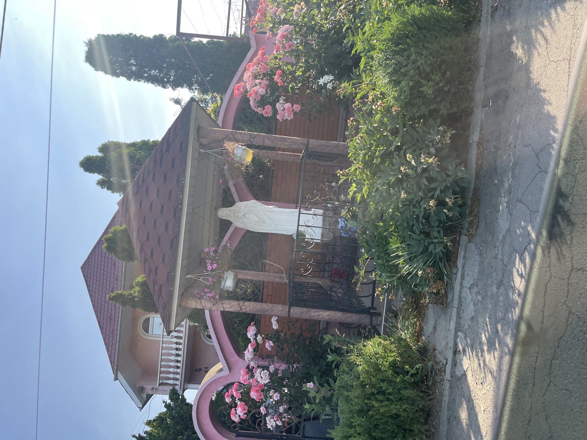 In Storozhnytsia, Ukraine, a religious shrine stands in front of a pink house. The shrine is covered by a red-tiled roof supported by stone pillars. Inside, a white statue of the Virgin Mary is positioned against a brick wall. Pink roses bloom abundantly on either side of the shrine, framing the scene. Bushes and trees surround the shrine and house, with a paved area in the foreground. The sun casts shadows on the ground, indicating it is daytime.