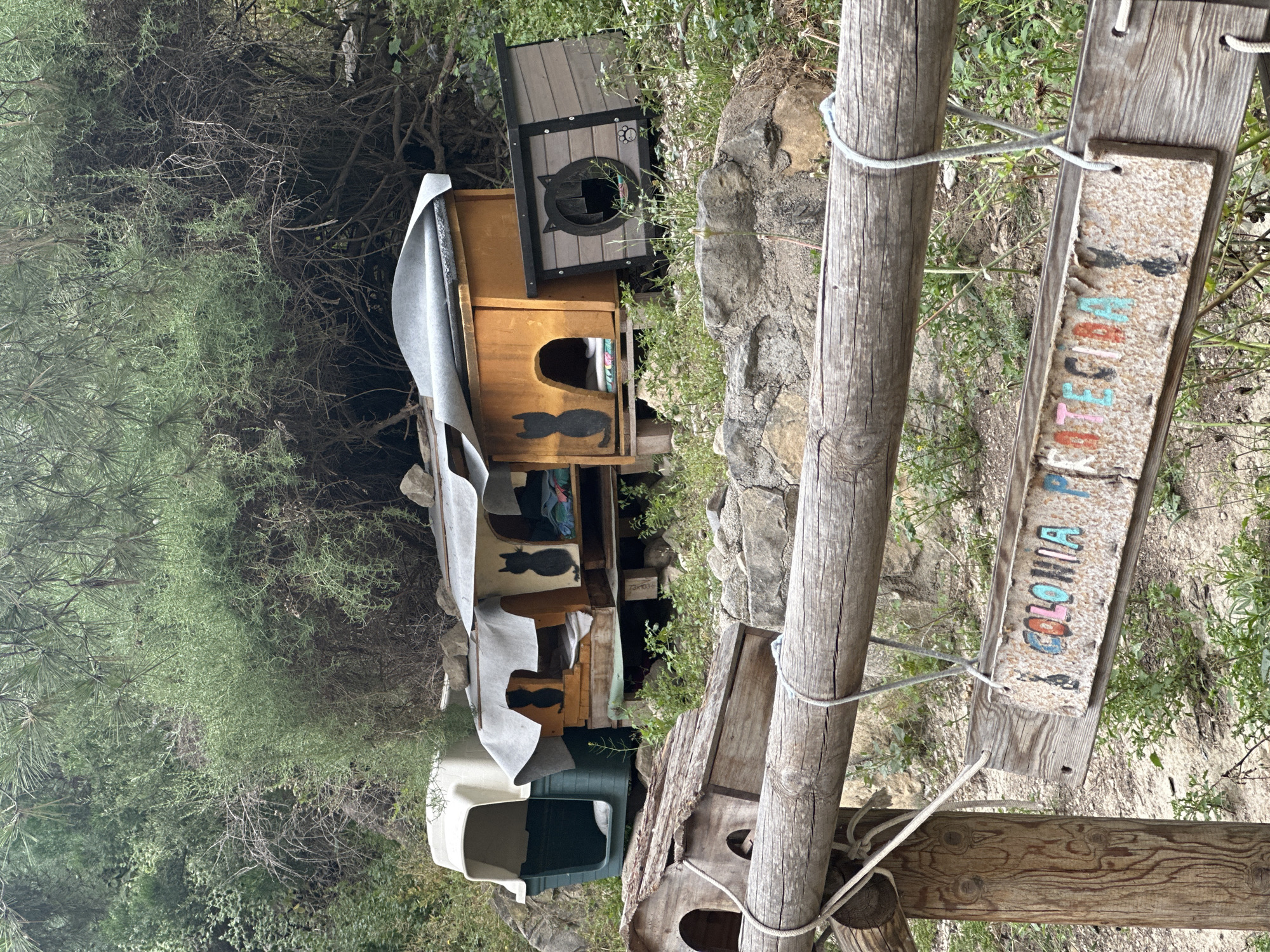The image depicts a cat colony setup in what appears to be a natural, possibly forested, location in Unknown, Unknown. The setup includes multiple cat houses stacked on top of each other, providing shelter for the cats. Some of the cat houses are made of wood, some are plastic, and one is covered with a gray tarp. Silhouettes of cats are painted on the wooden houses. A wooden sign, possibly indicating the location of the colony, is attached to a wooden post with rope. The word "COLONIA" is partially visible on the sign, suggesting it marks the cat colony's location. The surrounding environment is green with various plants and some rocks.