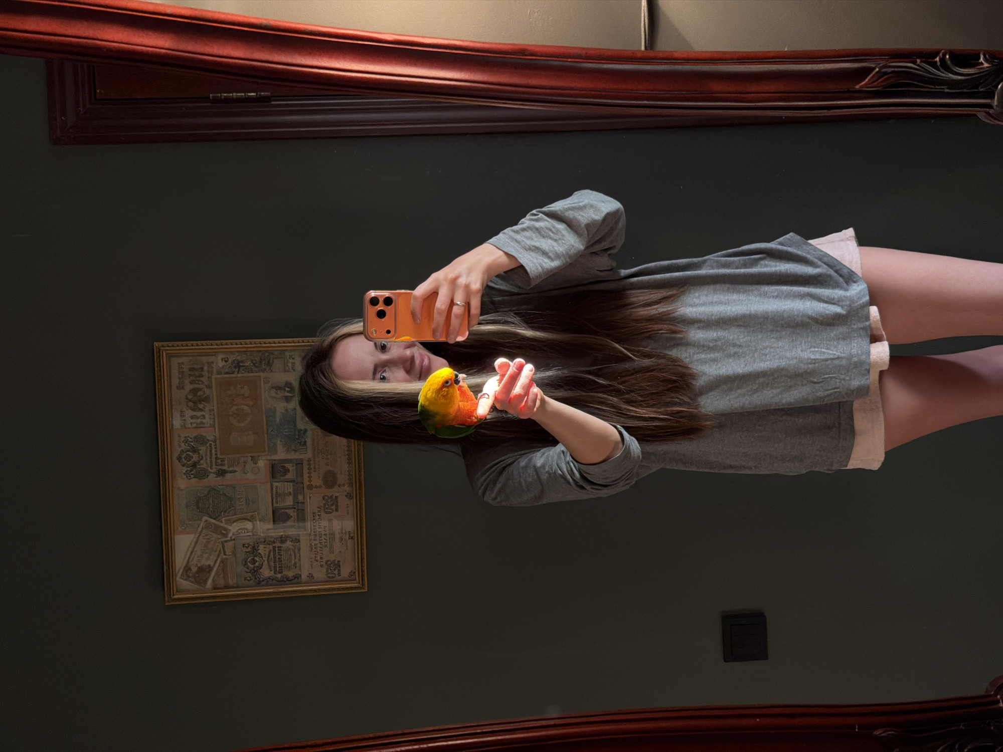 A young woman is captured in a mirror selfie indoors, holding her pet parrot. She stands centrally, facing the camera, with long dark brown hair featuring blonde highlights. She wears a grey long-sleeved t-shirt and light pink shorts or underwear underneath. On her left ring finger, she has a metallic ring. She is taking the picture with an orange-cased smartphone held in her left hand.
In her outstretched right hand, a vibrant parrot, likely a Sun Conure, is perched. The parrot displays bright yellow and orange feathers on its front and head, fading into green on its wings. The woman has a gentle smile, looking directly into the phone's camera.
The background consists of a dark, muted green or grey wall. To the left of the woman, a rectangular framed artwork is visible. This piece appears to be a collage of vintage paper currency or documents. Visible text includes "Українська" (Ukrainian), "50", "20", and "РУБ." (Rubles), indicating the presence of old Ukrainian currency. Below this artwork, a dark square object, possibly a light switch or outlet cover, is also reflected.
The top and bottom edges of the image reveal reflections of a decorative dark wooden headboard or frame, confirming the shot was taken in a large mirror. The scene is illuminated by natural light, creating highlights on the woman's face, hands, and the parrot, suggesting daytime. The setting appears to be a casual indoor space, possibly a bedroom, in Khimki, Russia.
