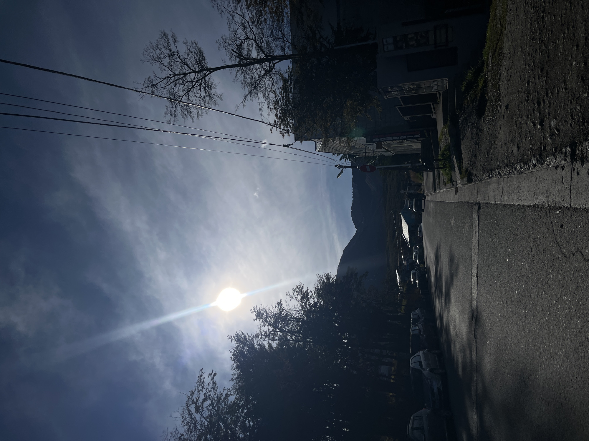 The image depicts a street scene in Ushuaia, Argentina, oriented vertically. The sun shines brightly in the sky, partially obscured by trees. Several bare-branched trees and other trees with foliage are visible on the left side of the road. Power lines run across the sky above the trees. A street with parked cars lines the right side of the image. A mountain is partially visible in the background down the street, which is lined with buildings. A sidewalk with a curb runs alongside the street.